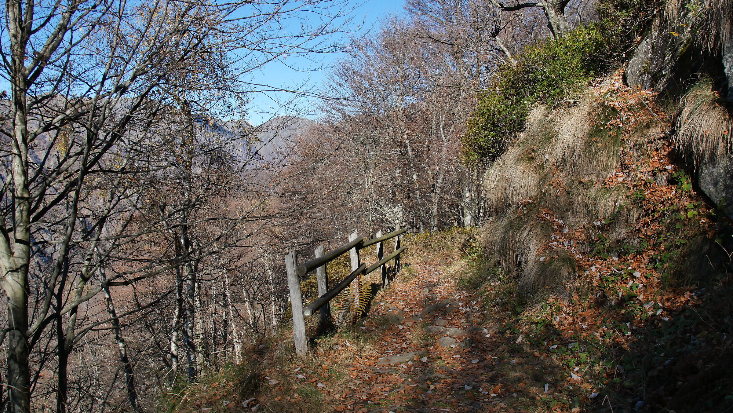 Sentieri di montagna