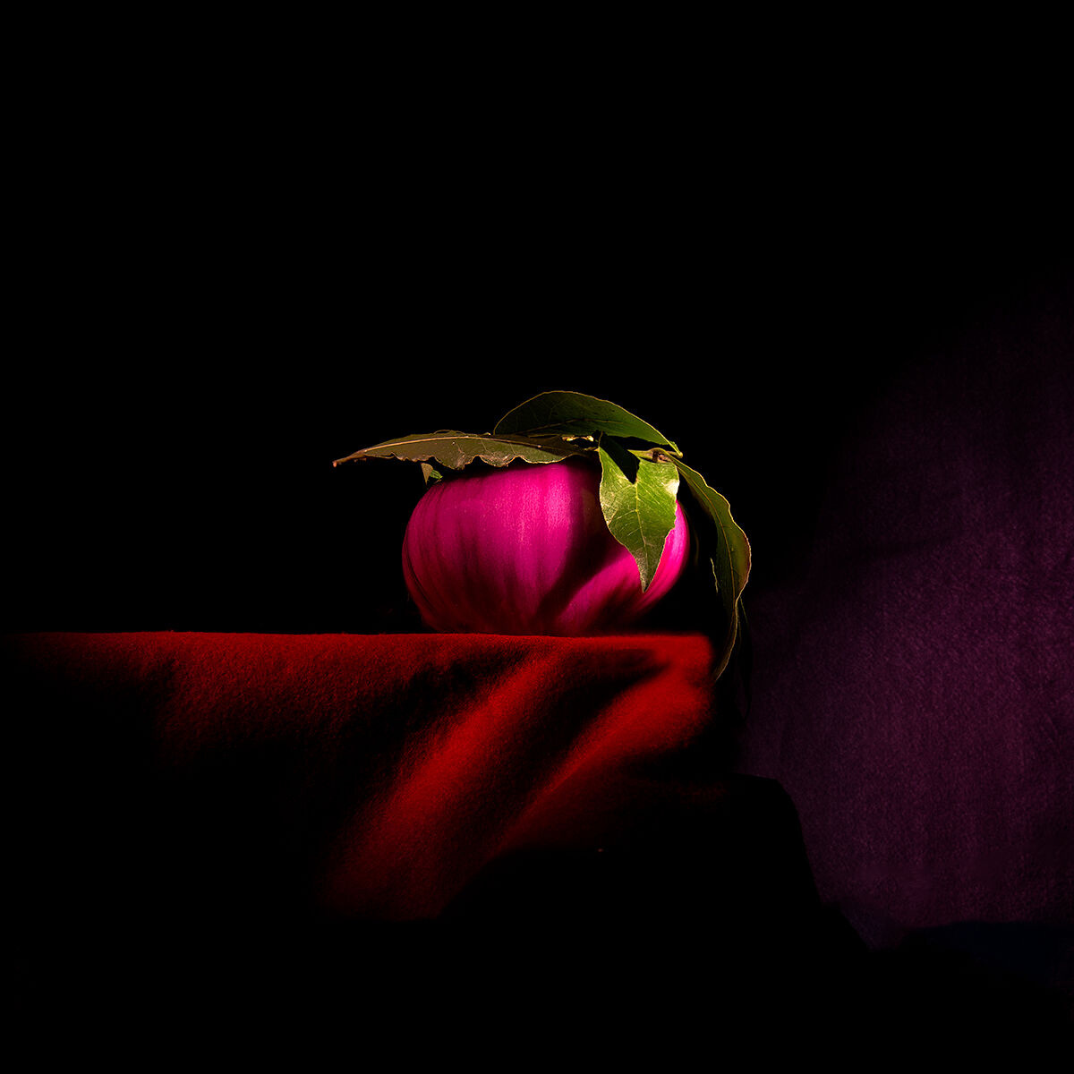 Literary onion certaldese