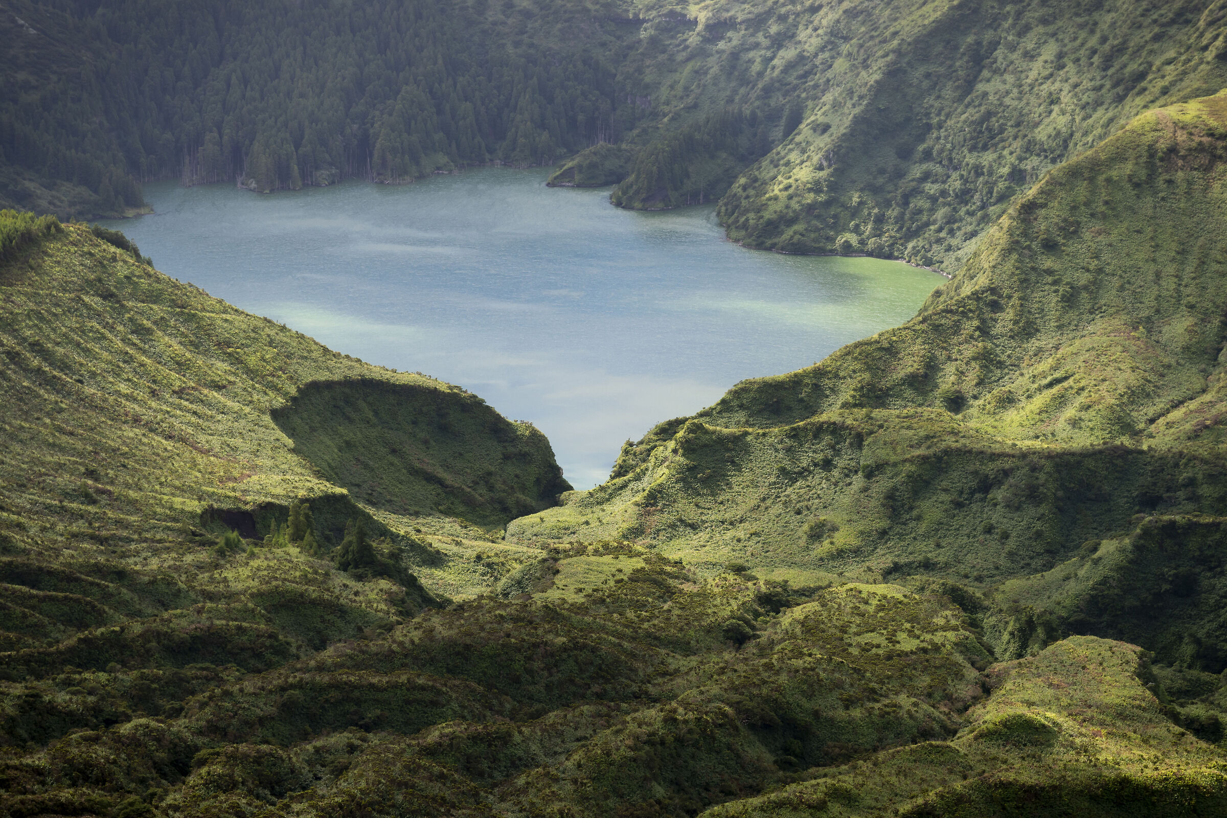 Lagoa Funda - Flores Island