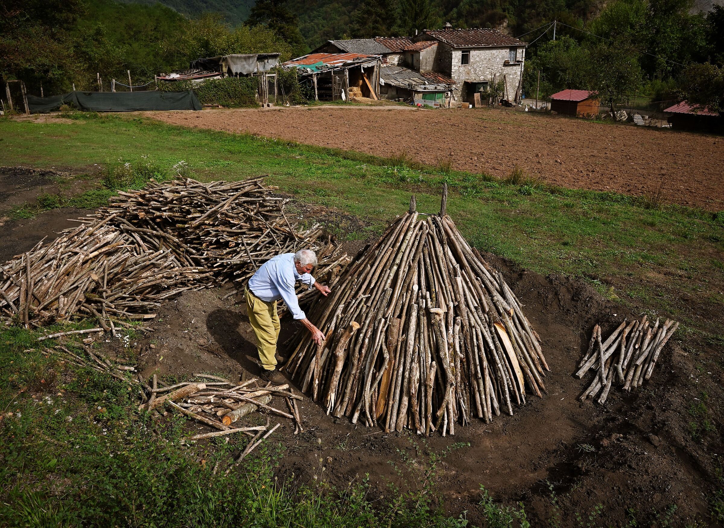 the Charcoal Burner's Puzzle