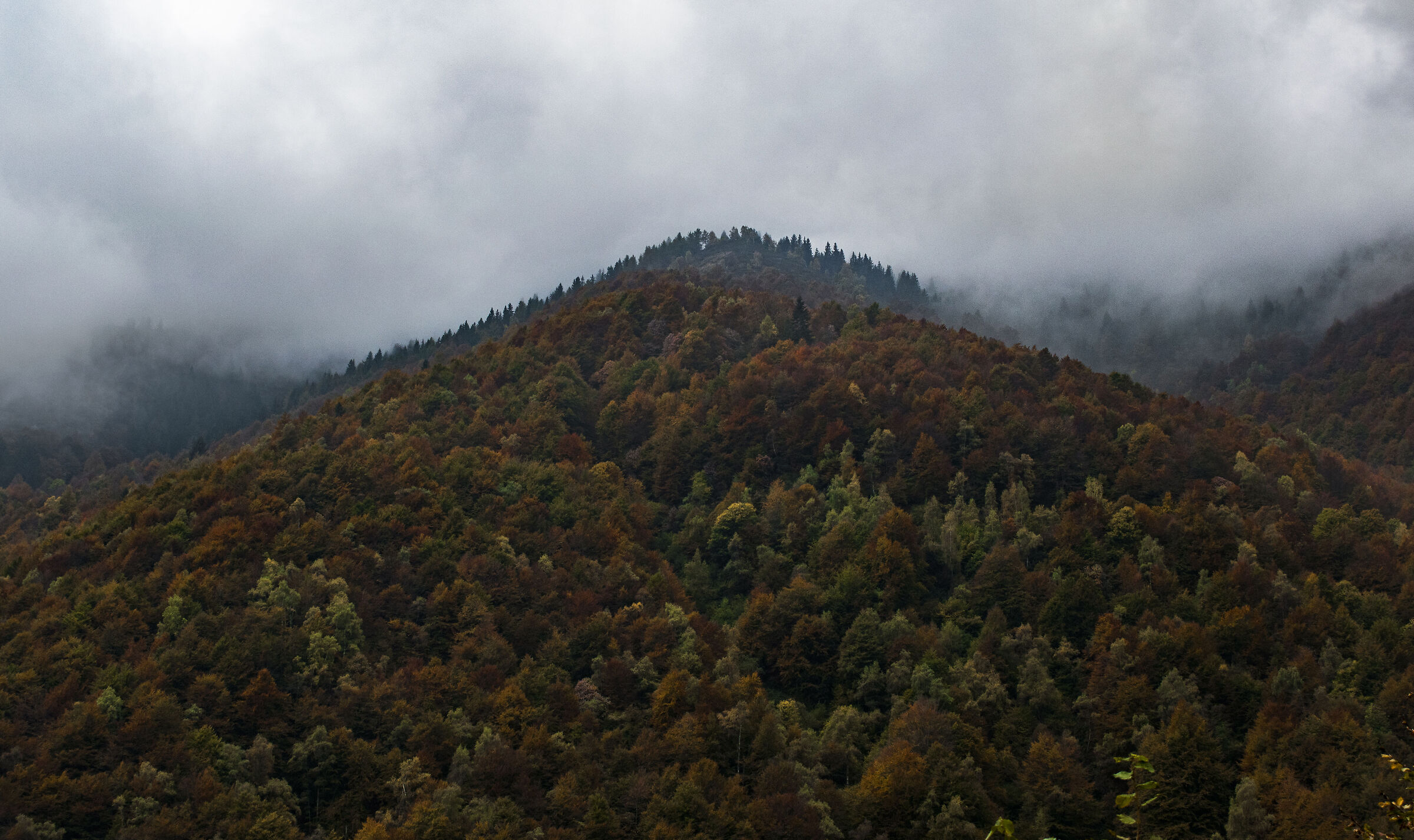 Bosco del Sorriso, Biella, Piedmont
