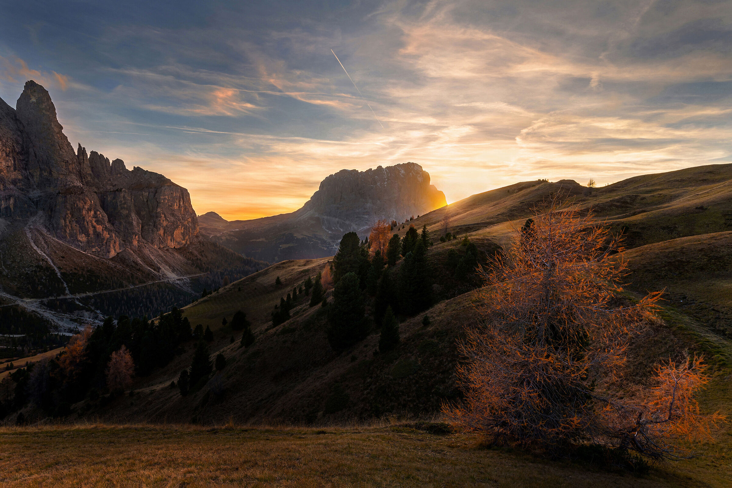 The last ...... Larch