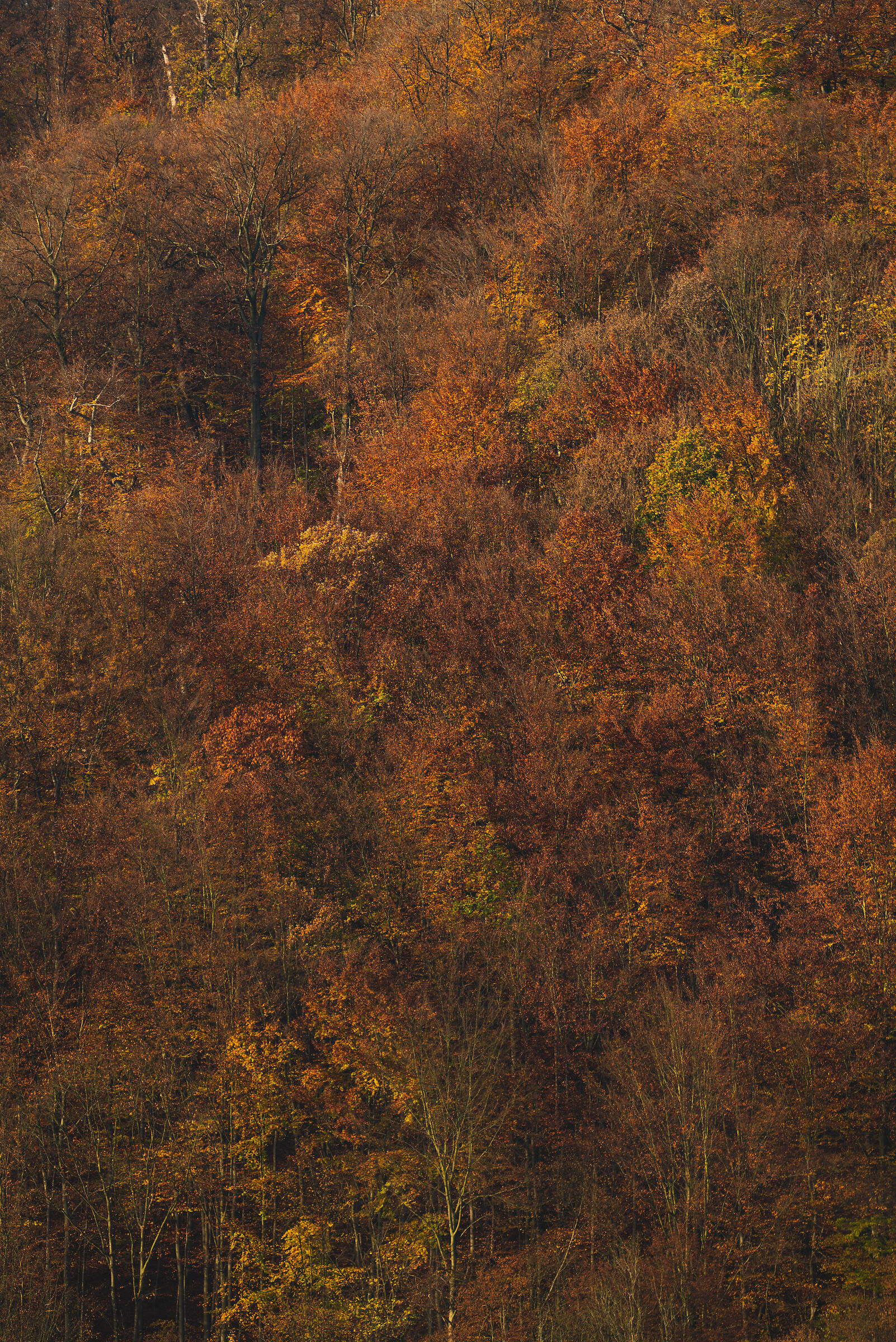 Untitled Photo