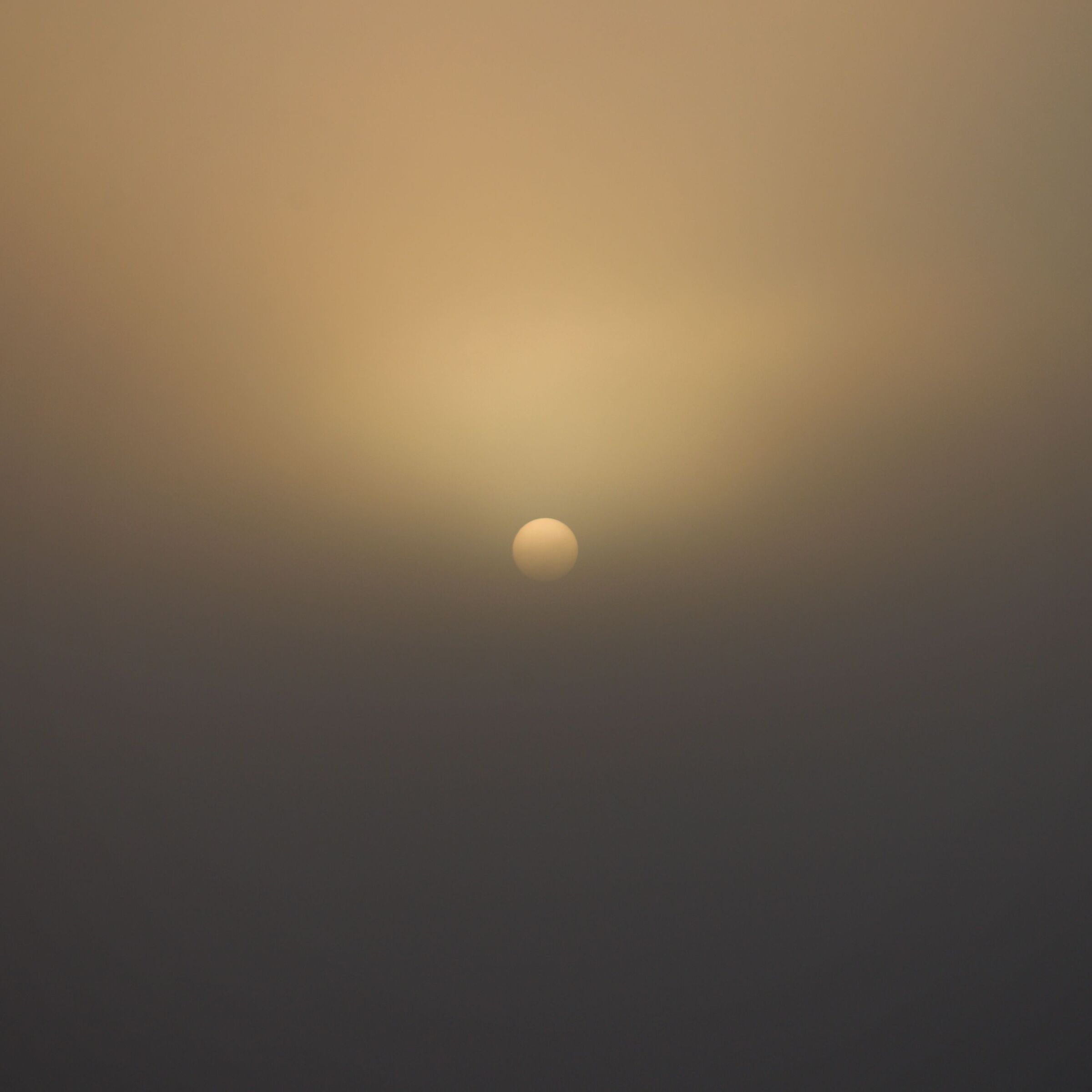 Nuance di nebbia e sole