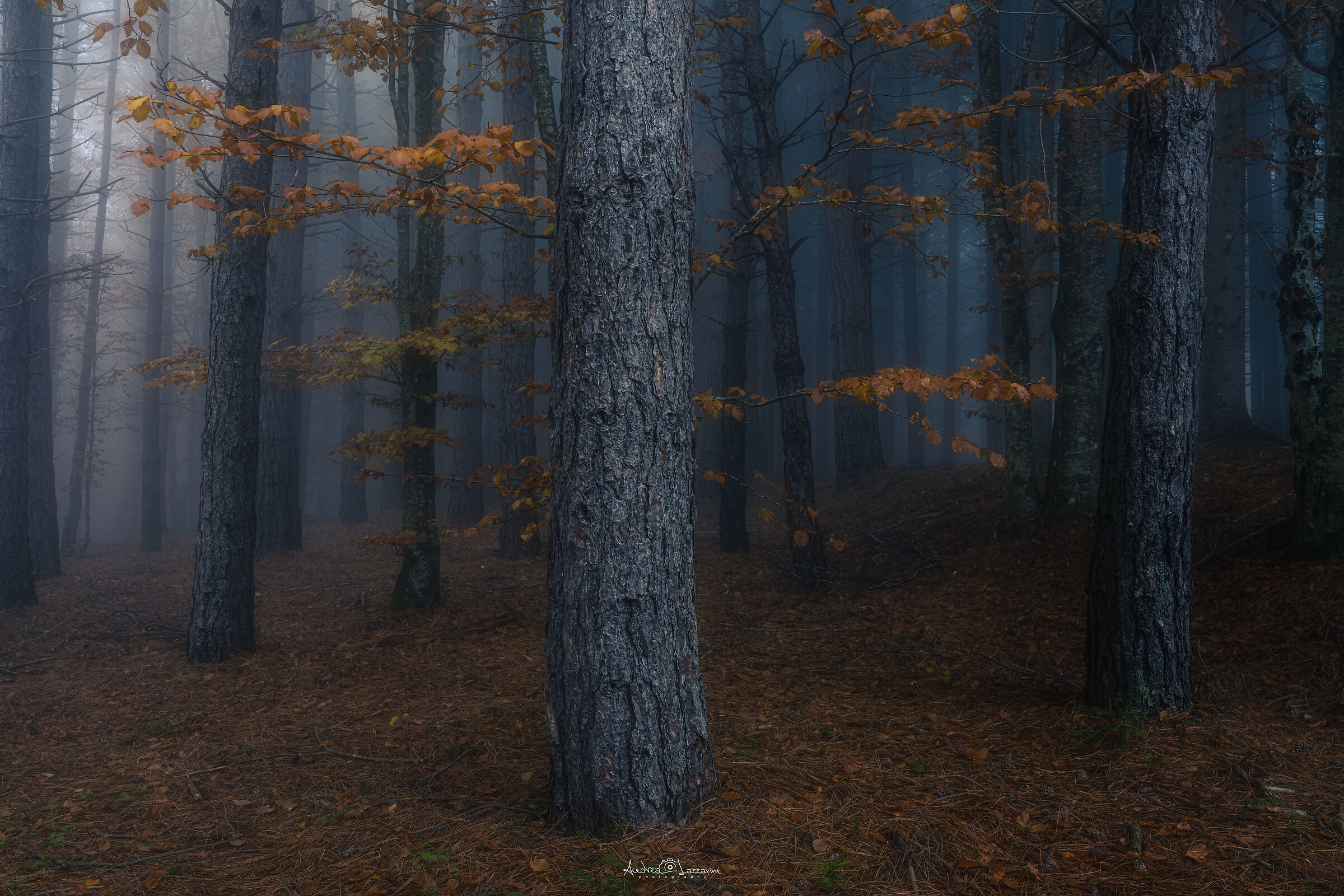 Lost