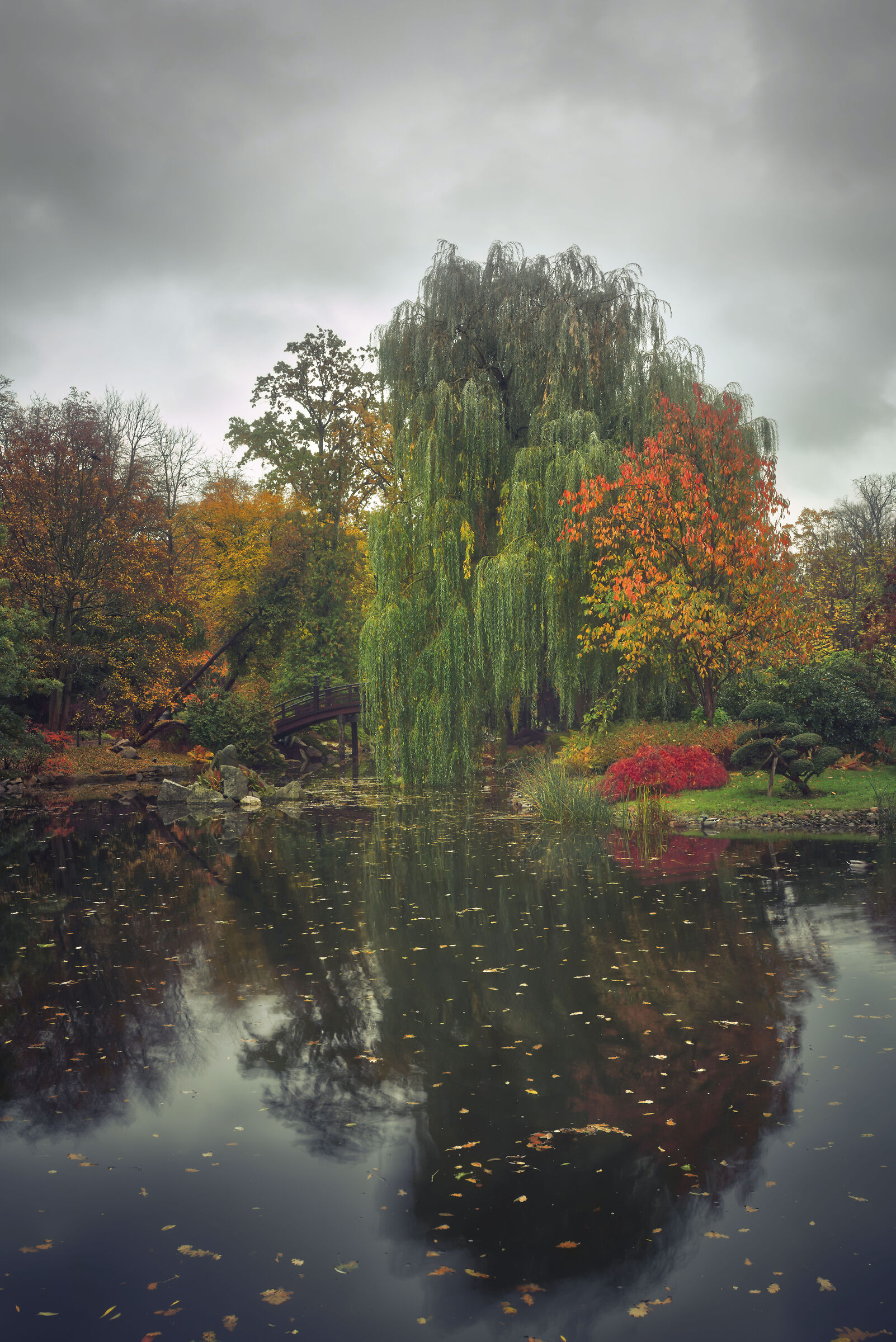 Meditating I lingered