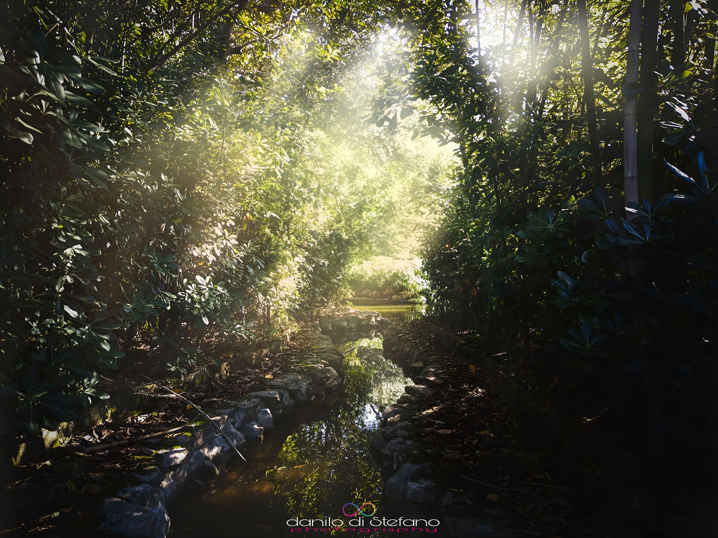 Villa malfitano - Palermo