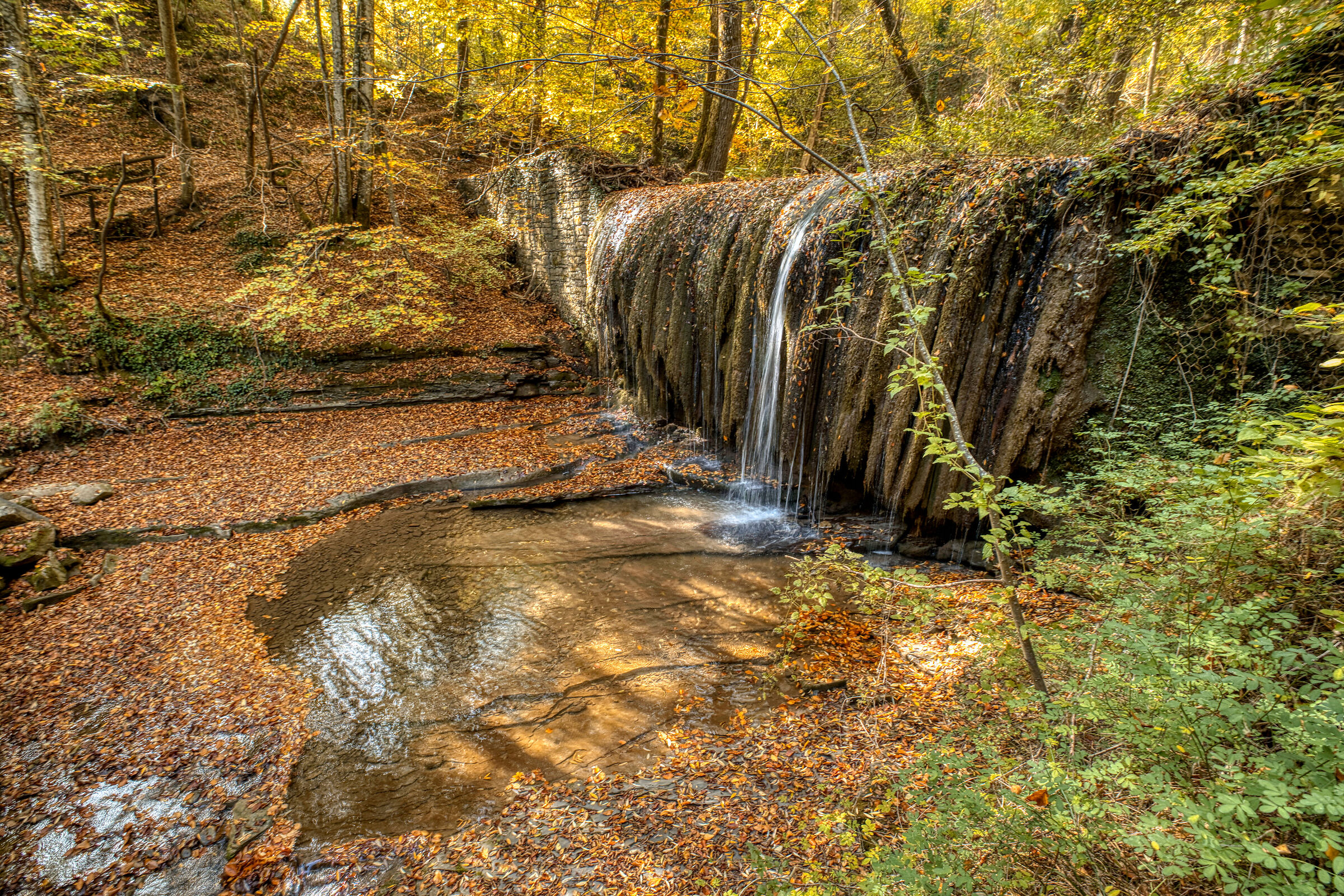 Autunno nelle Foreste Casentinesi