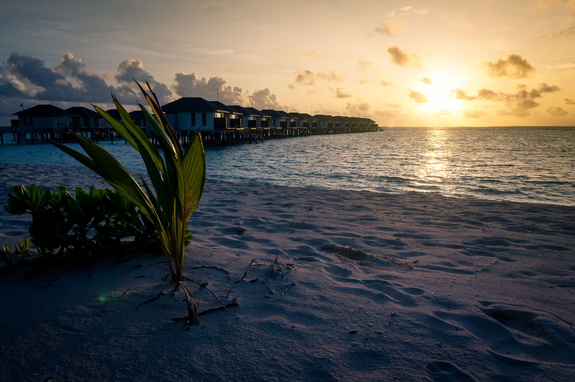 Maldive tramonto