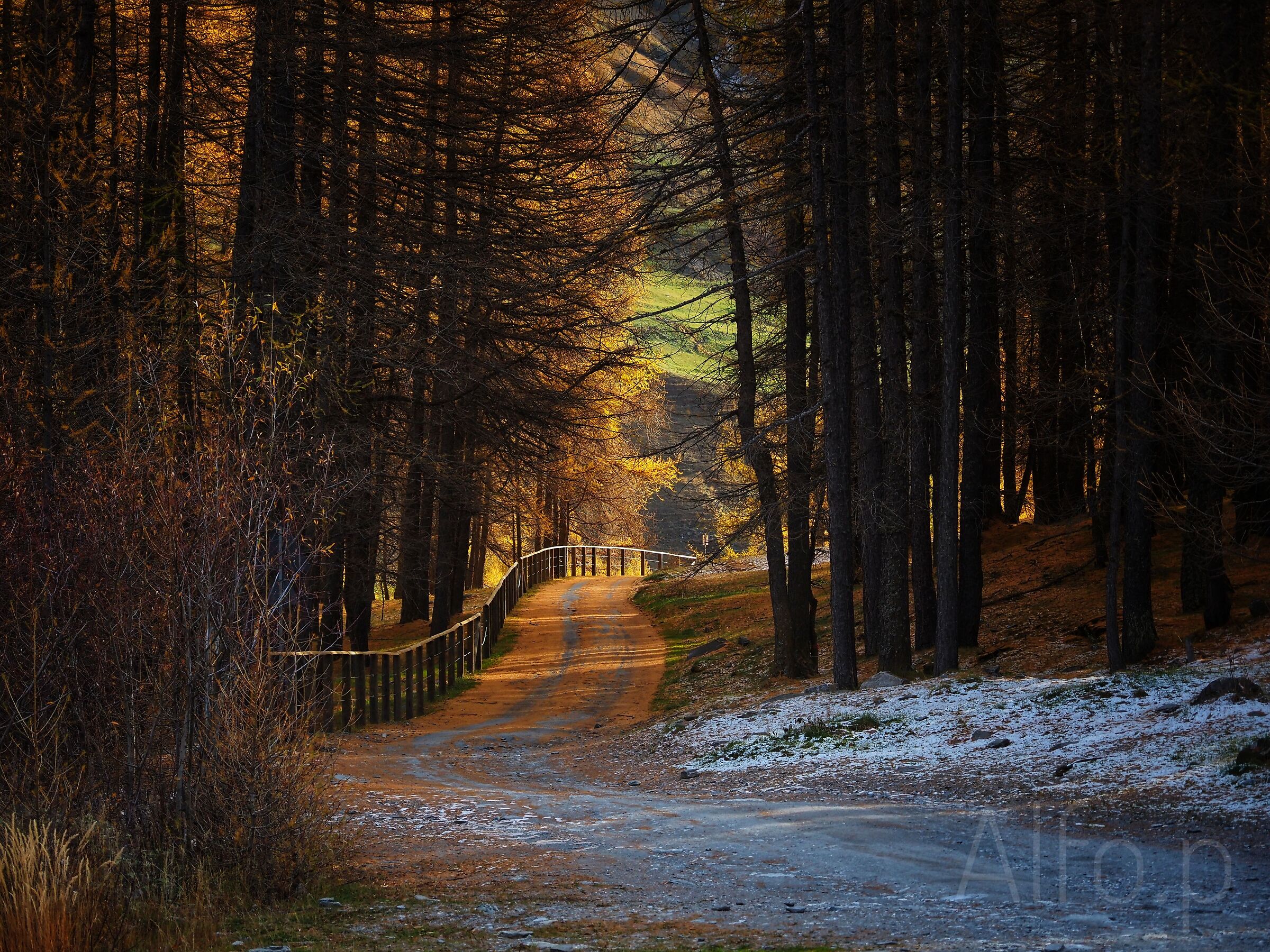 Autunno nelle Alpi marittime