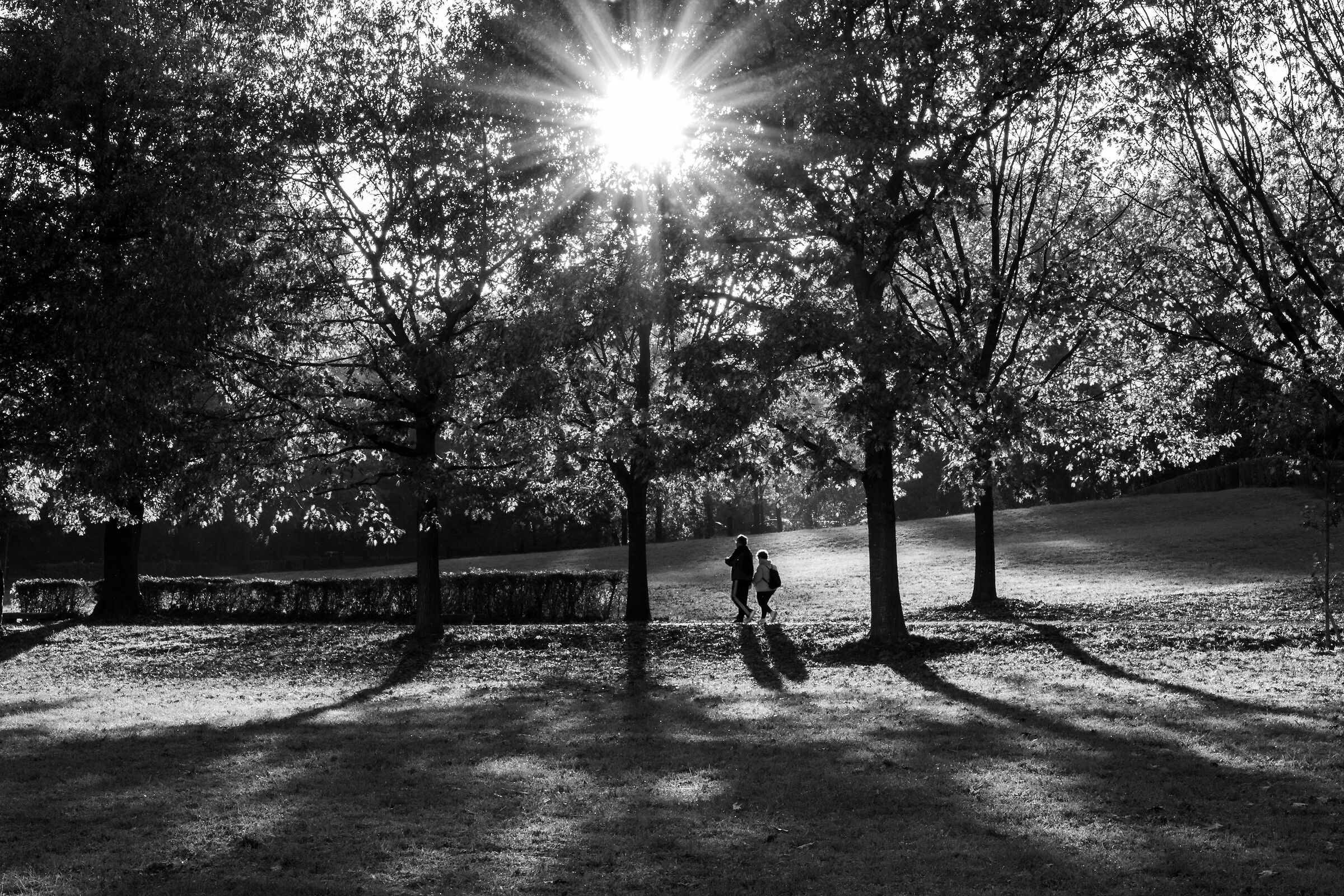 walking