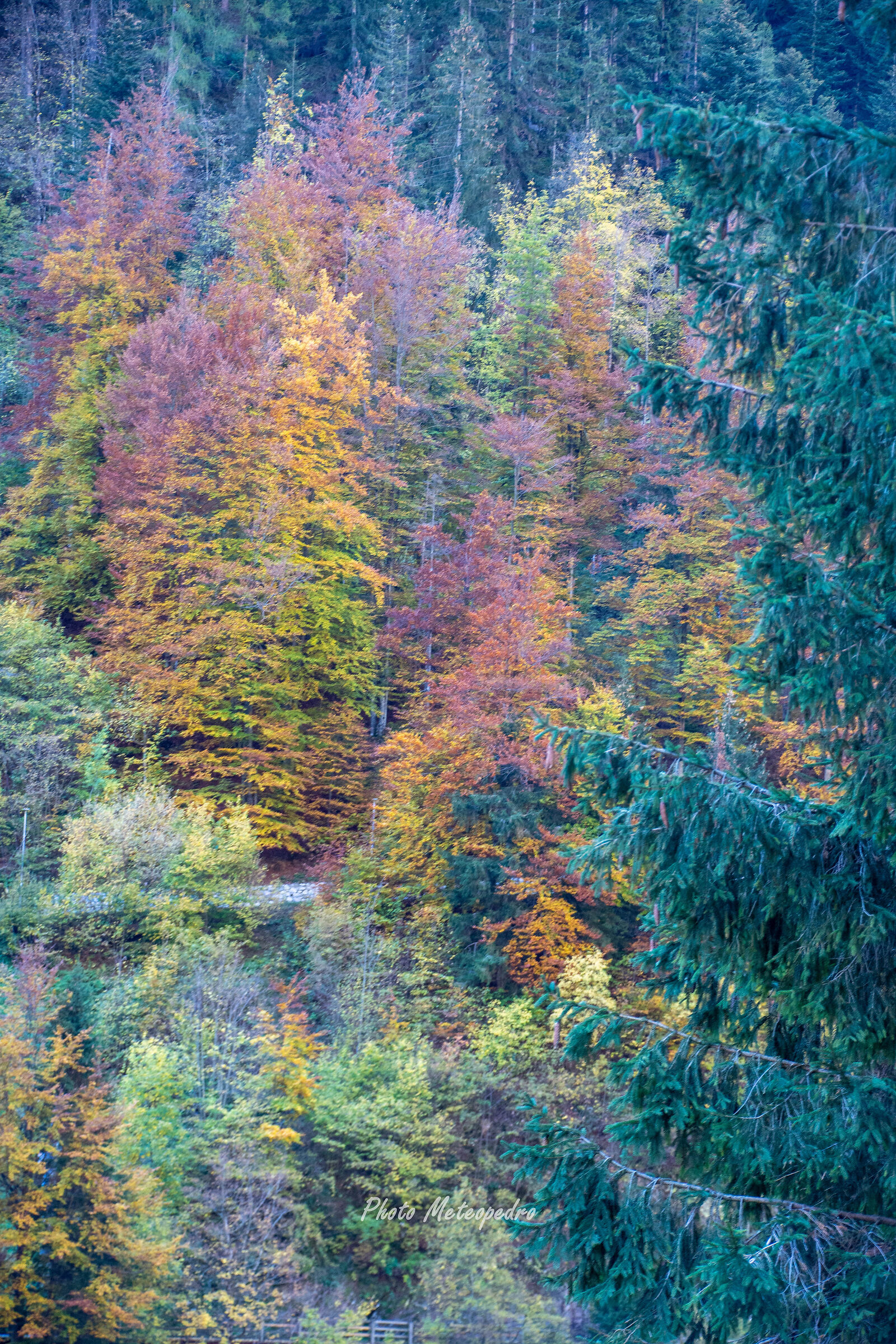 Autumn in the mountains