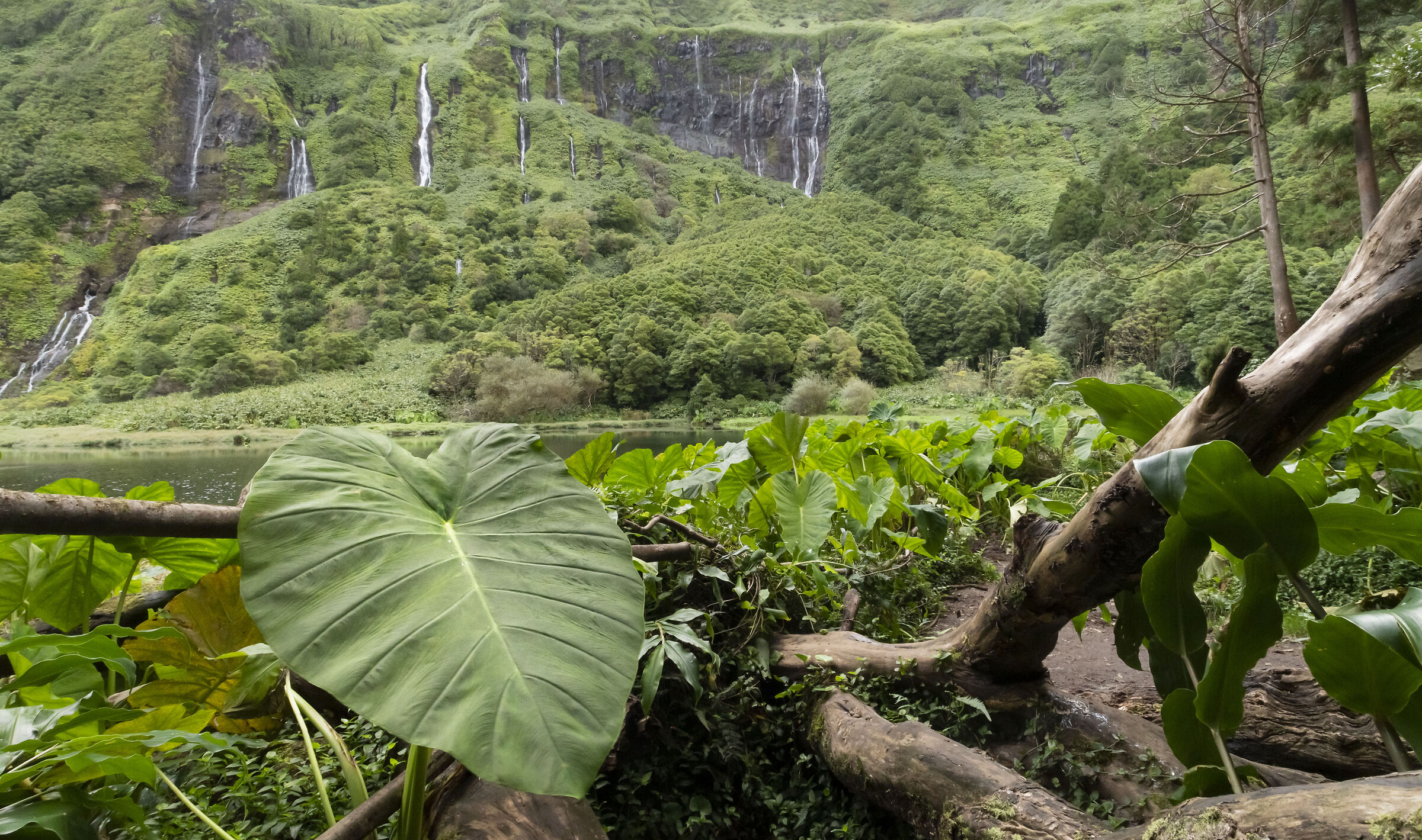Little Ribeira do Ferreiro
