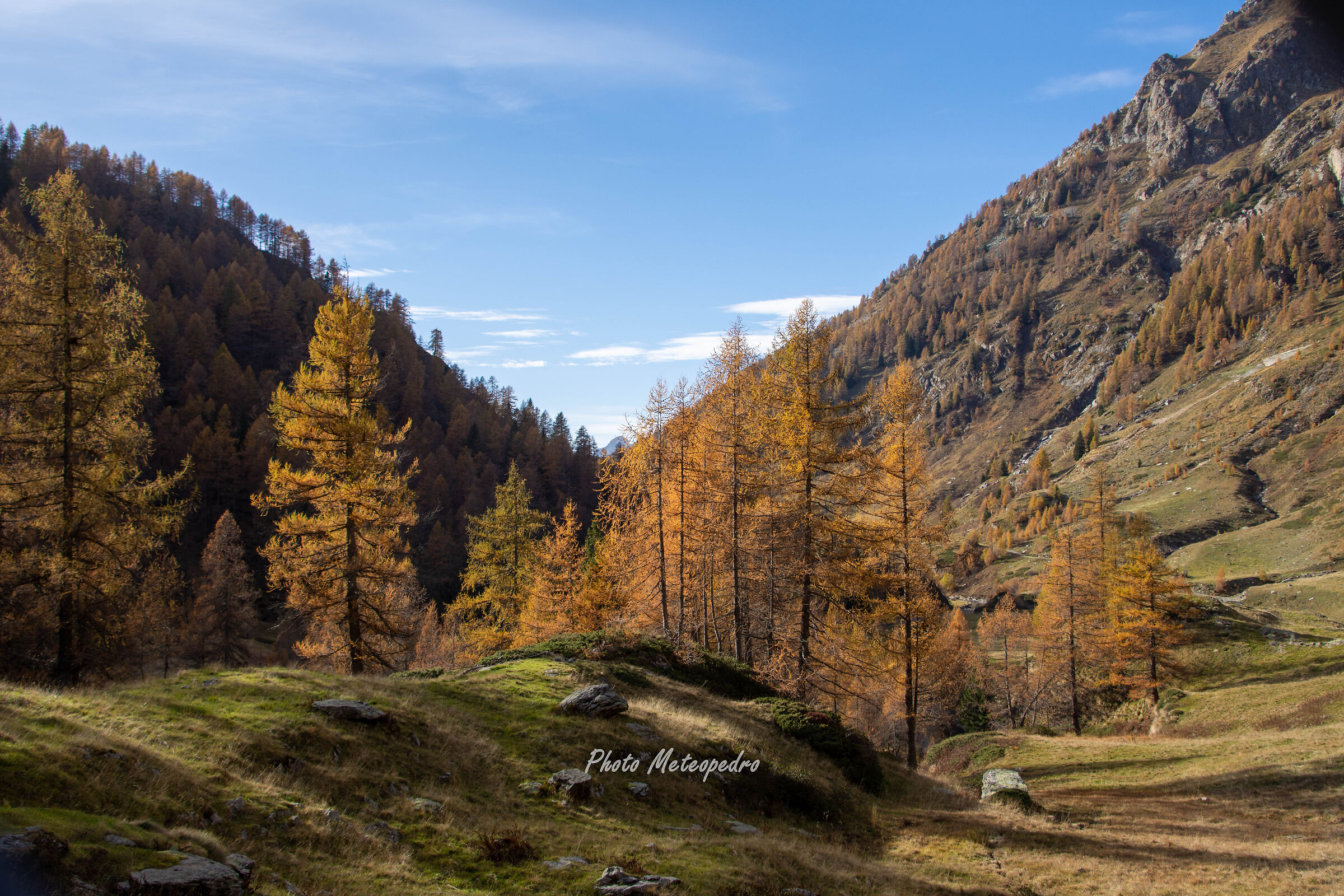 Autumn in the Orobici mountains
