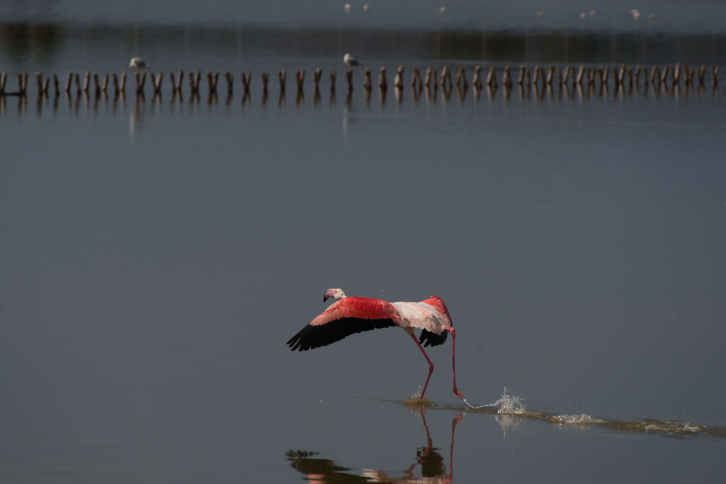 Take-off 2