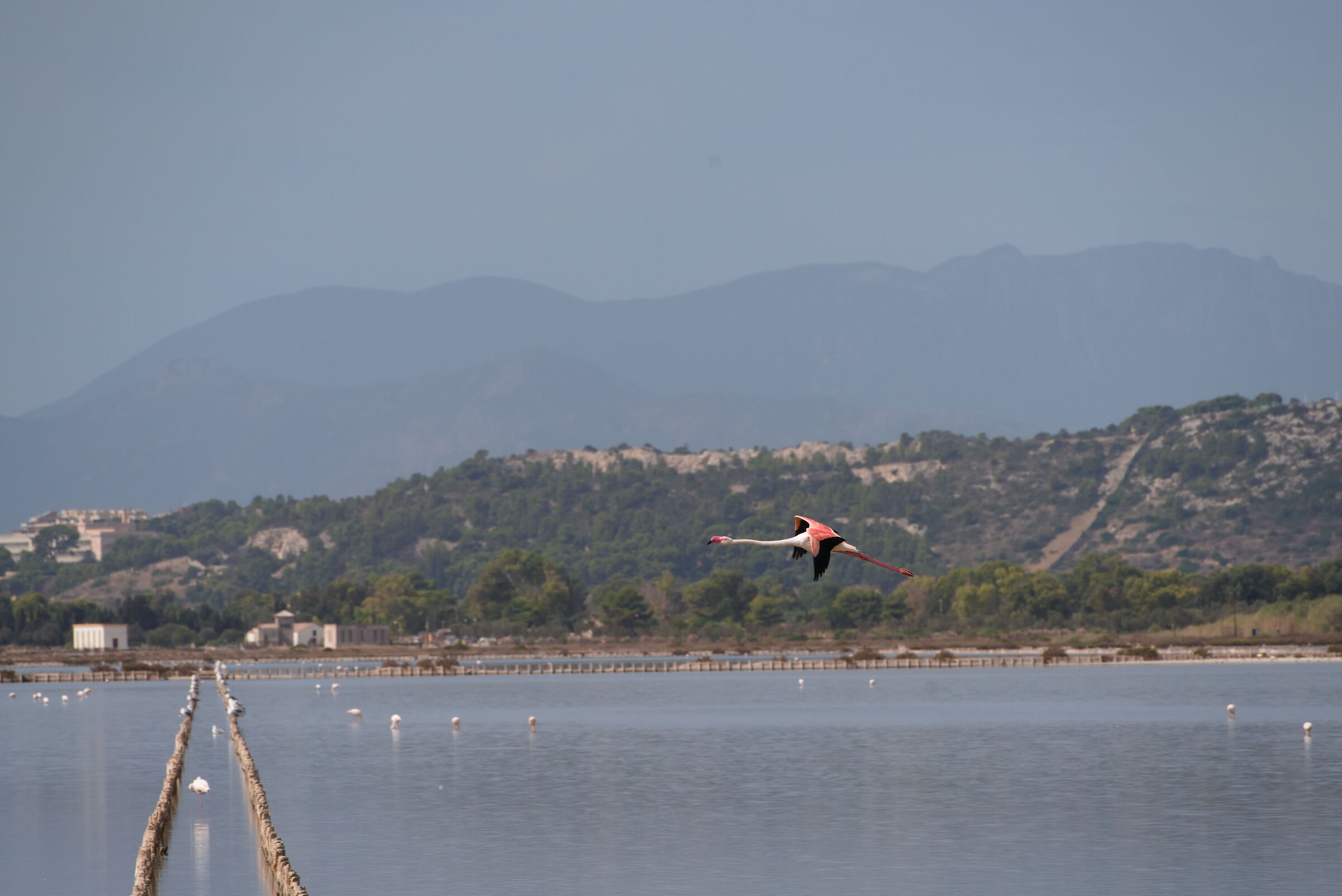 in flight