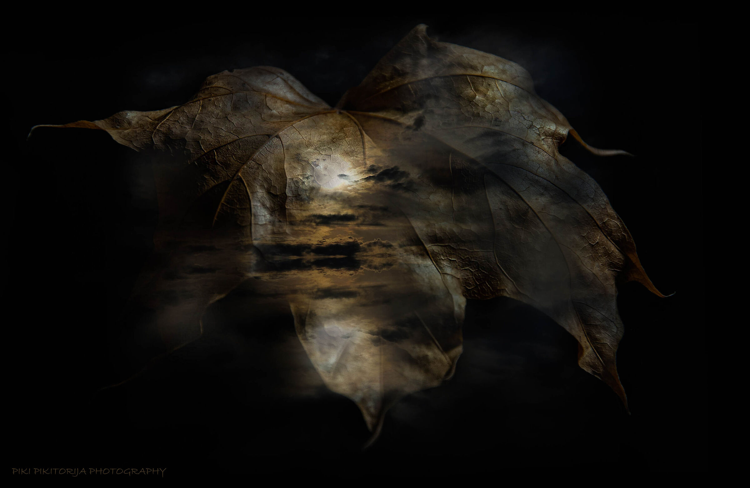 The season I was born