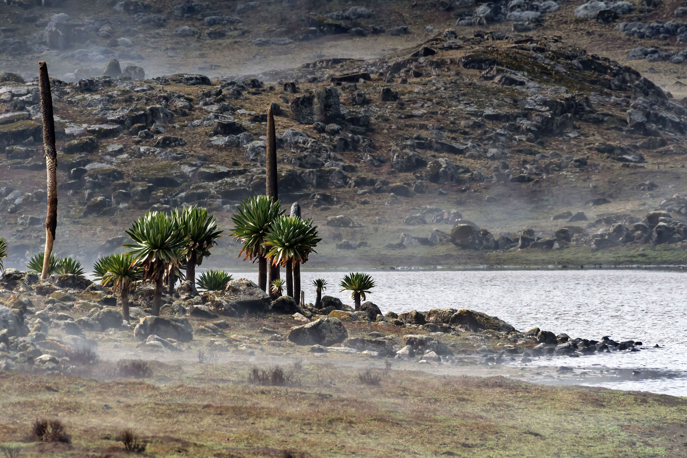 Paesaggio a 4000mt di quota