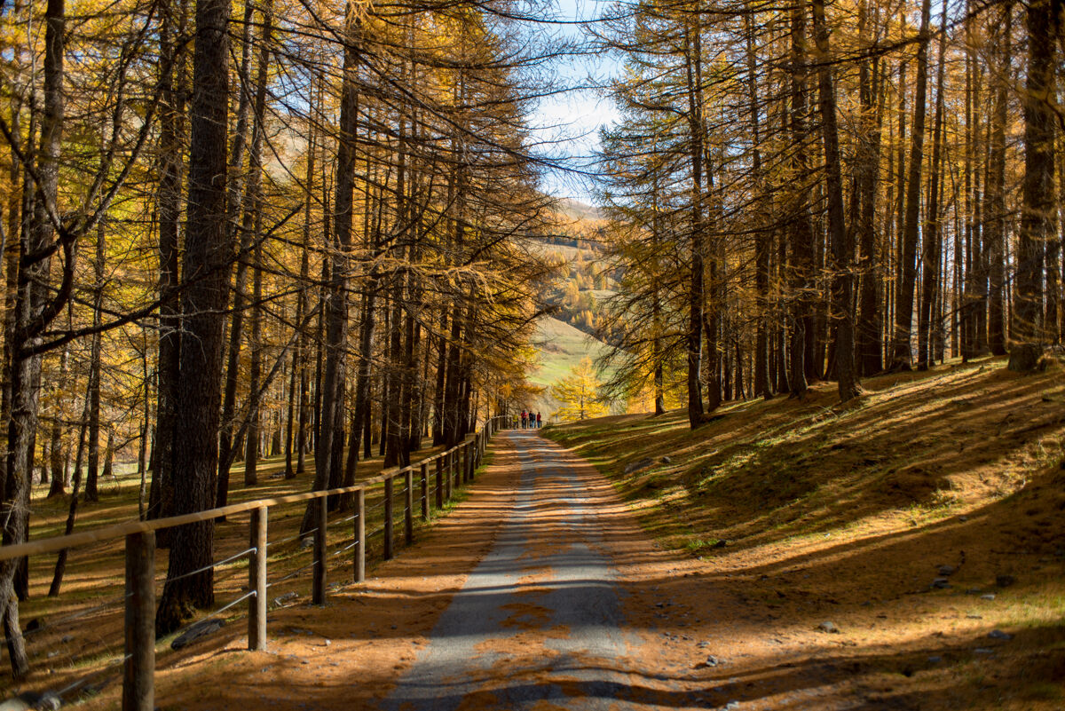 Chianale, Val Varaita
