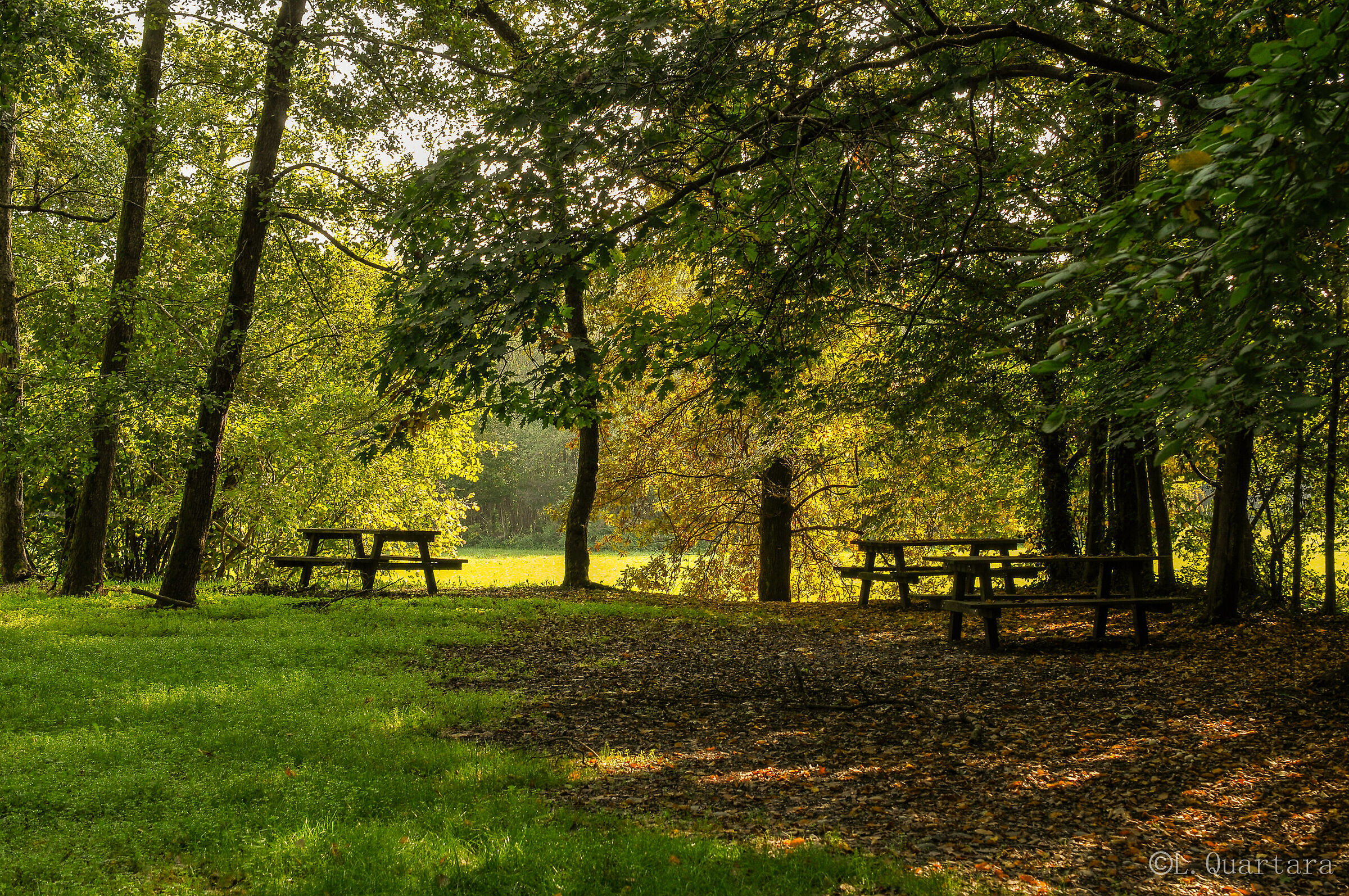 parco del ticino