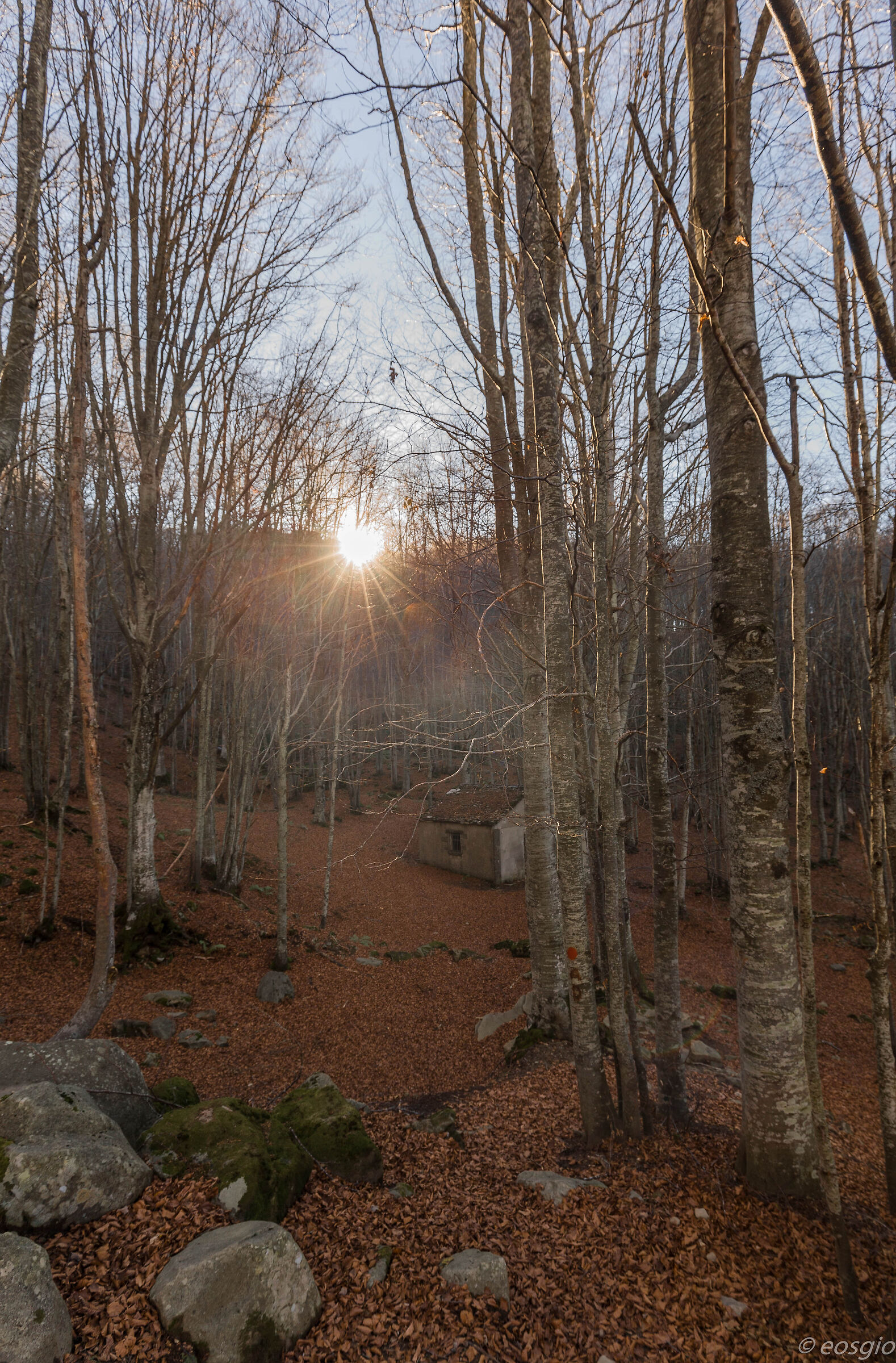 Autunno Appennino Reggiano