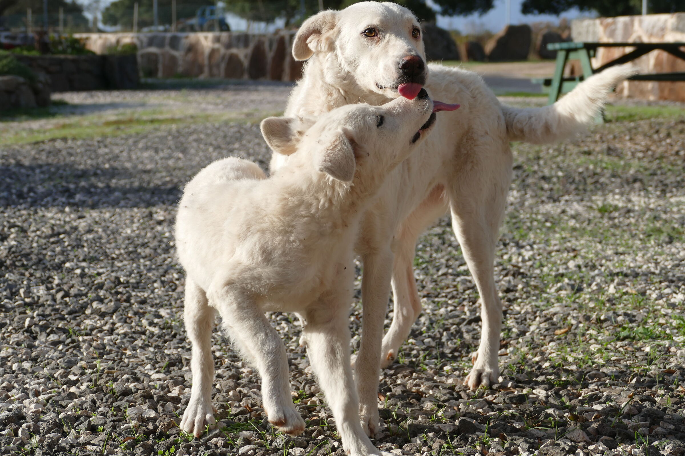 Mamma è bellissimo stare con te!