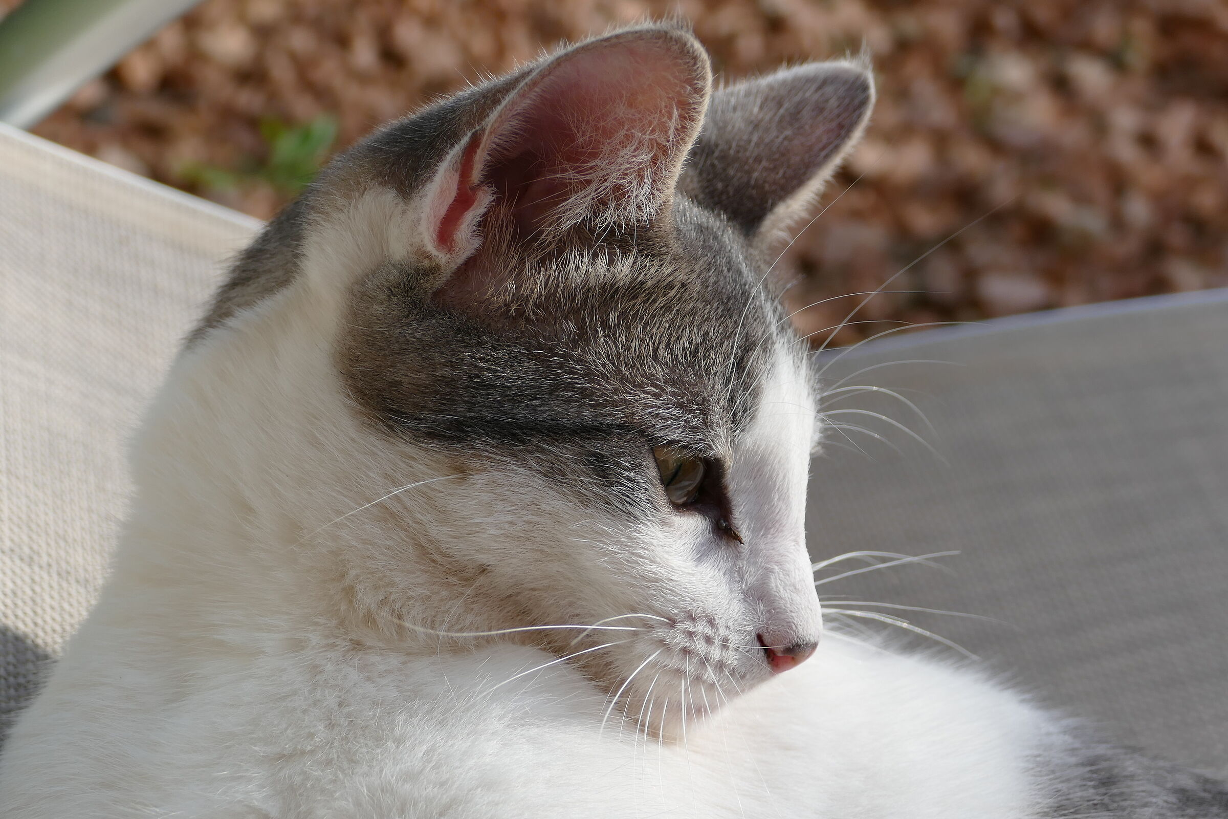 Fammi pure una foto...