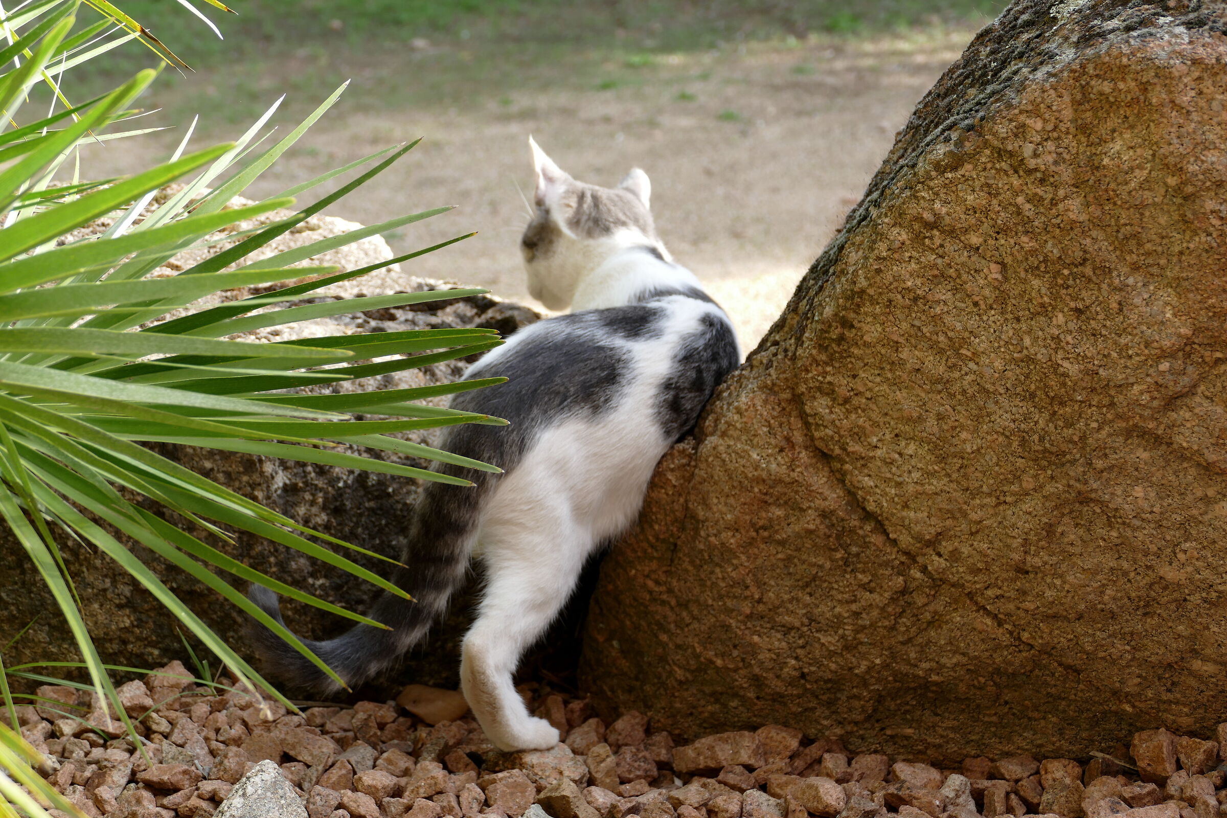 ... But now I have other things to do!!