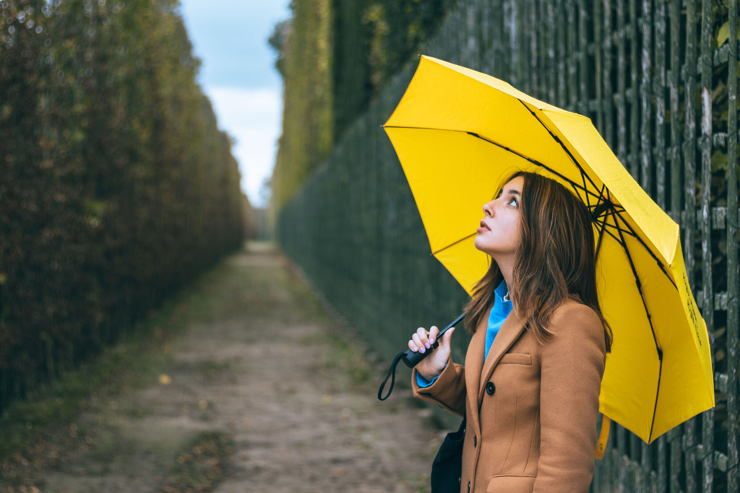 Raining Day