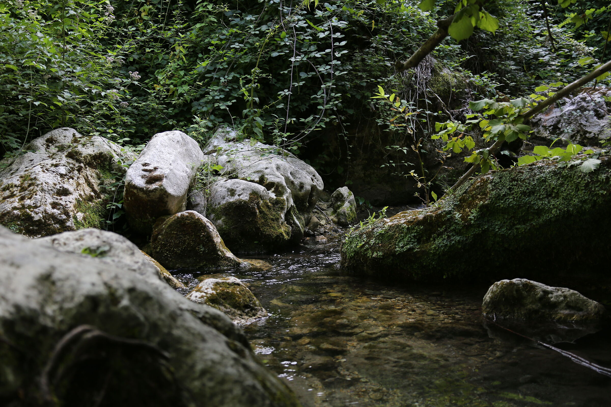 Esempio 1 - Canon EF 28-135mm f/3.5-5.6 IS USM