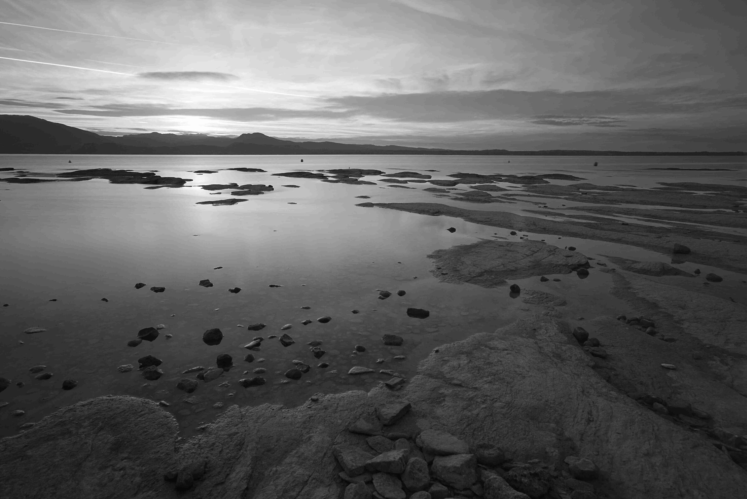 alba-bw