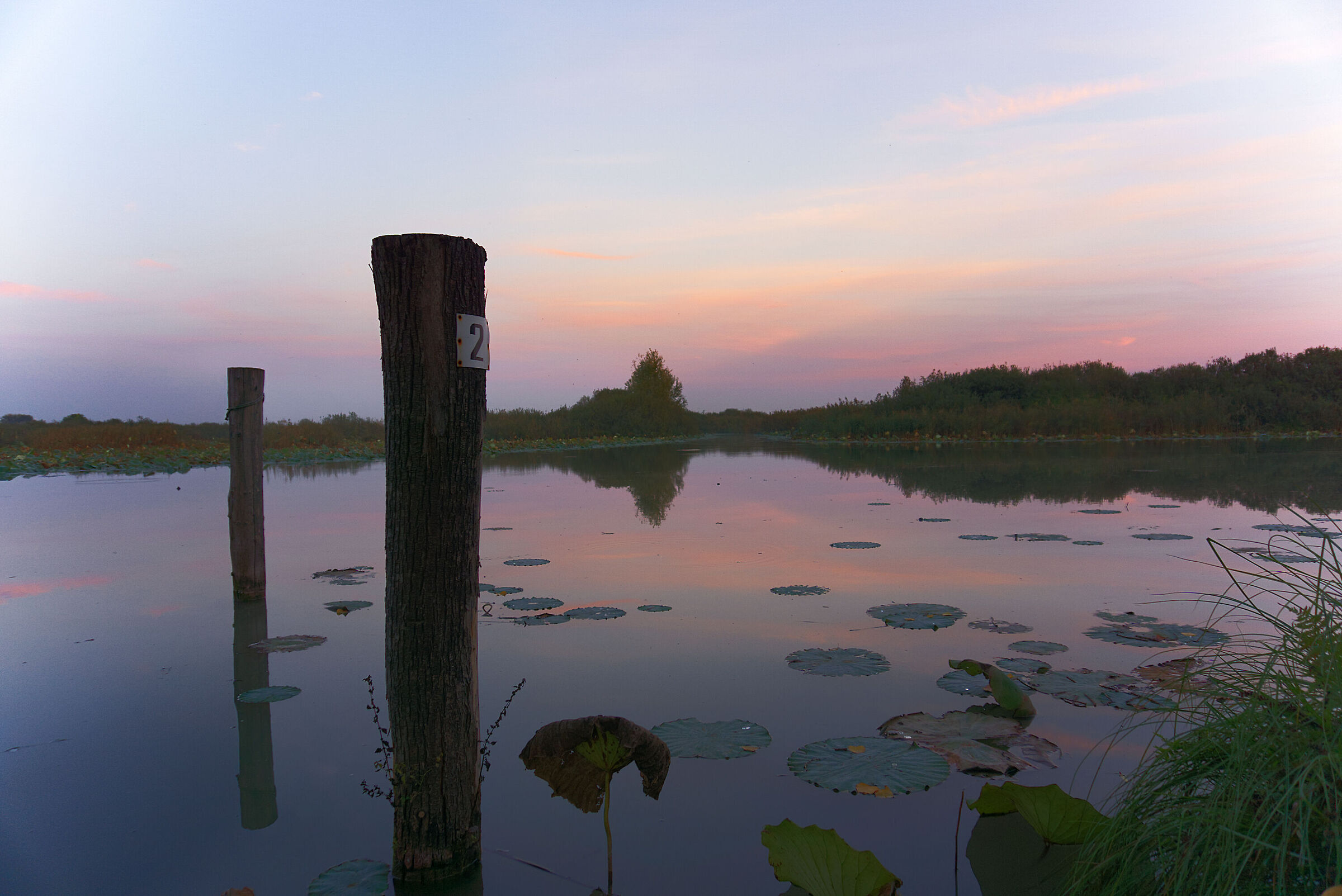Un po' di tramonto alle Grazie (parco Mincio)