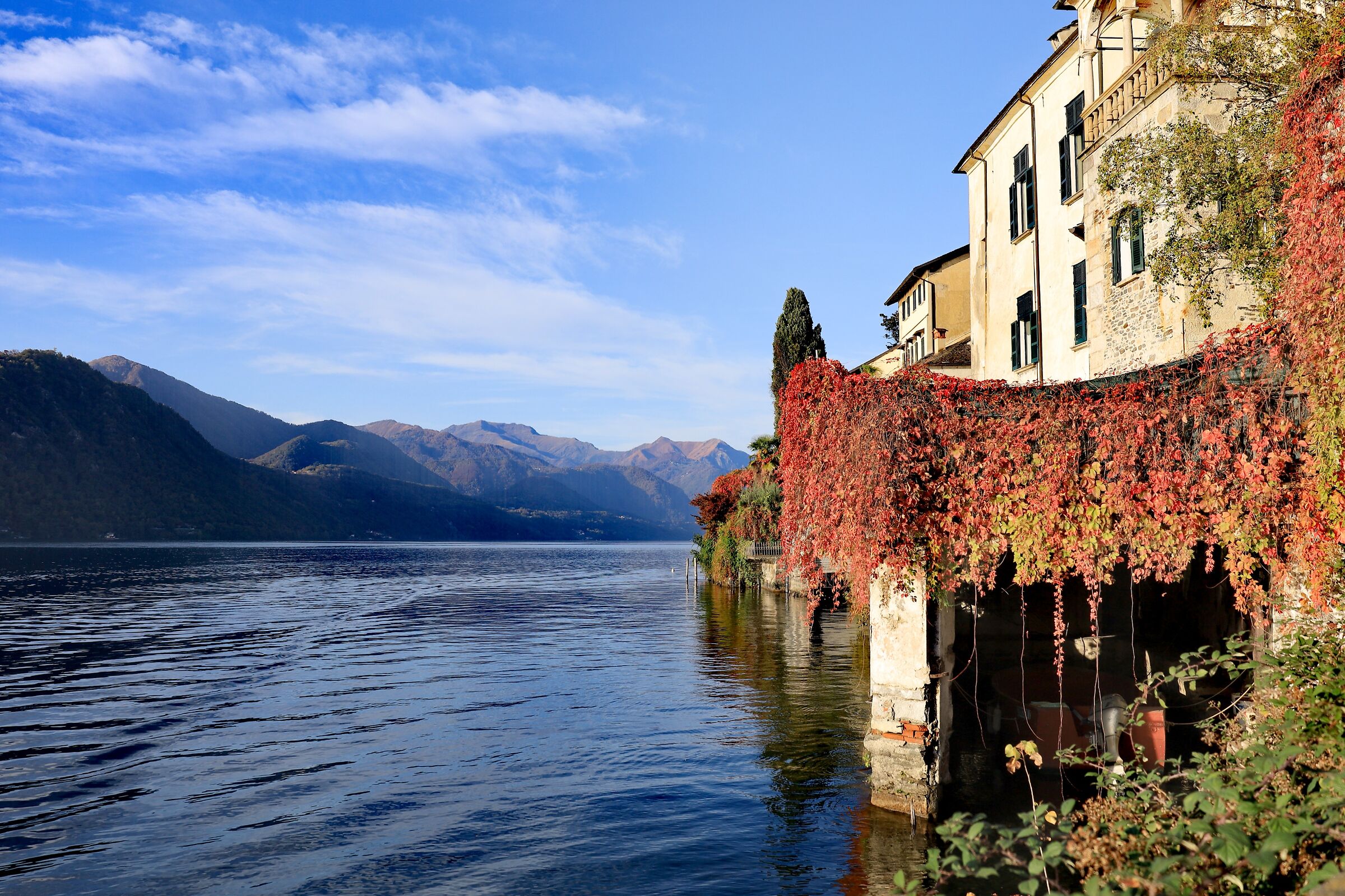 Foliage di lago