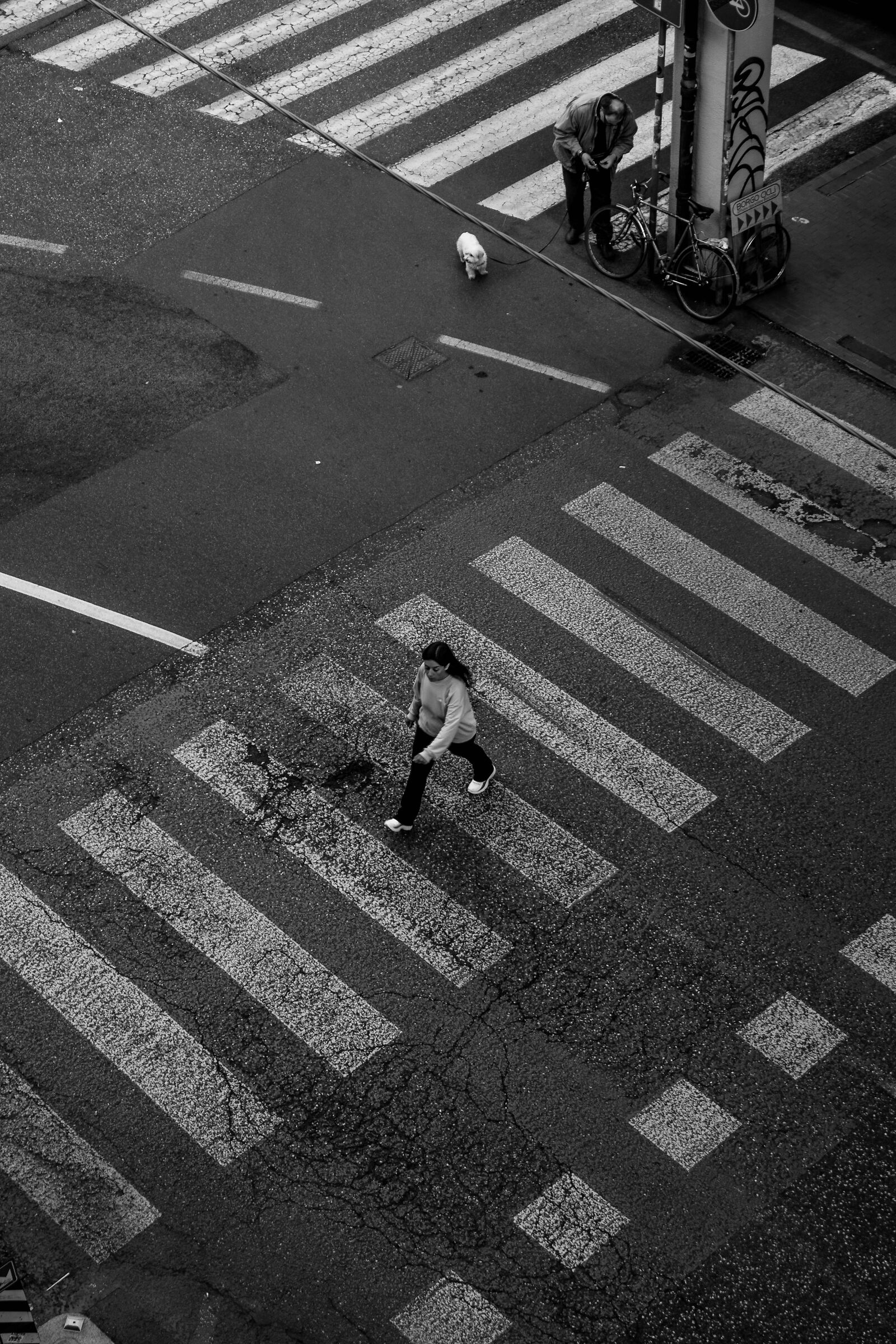 Bologna