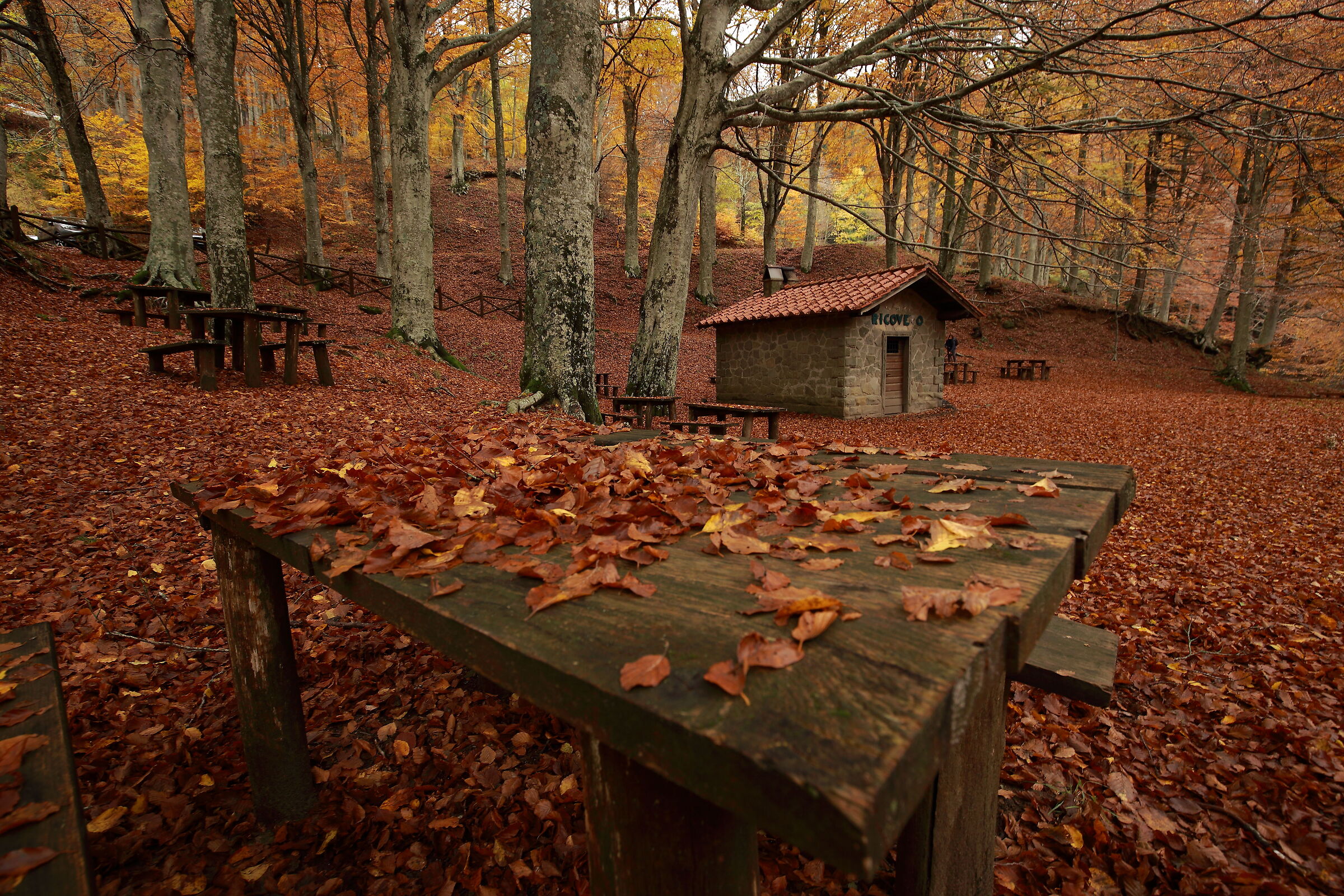 Satiating me in autumn