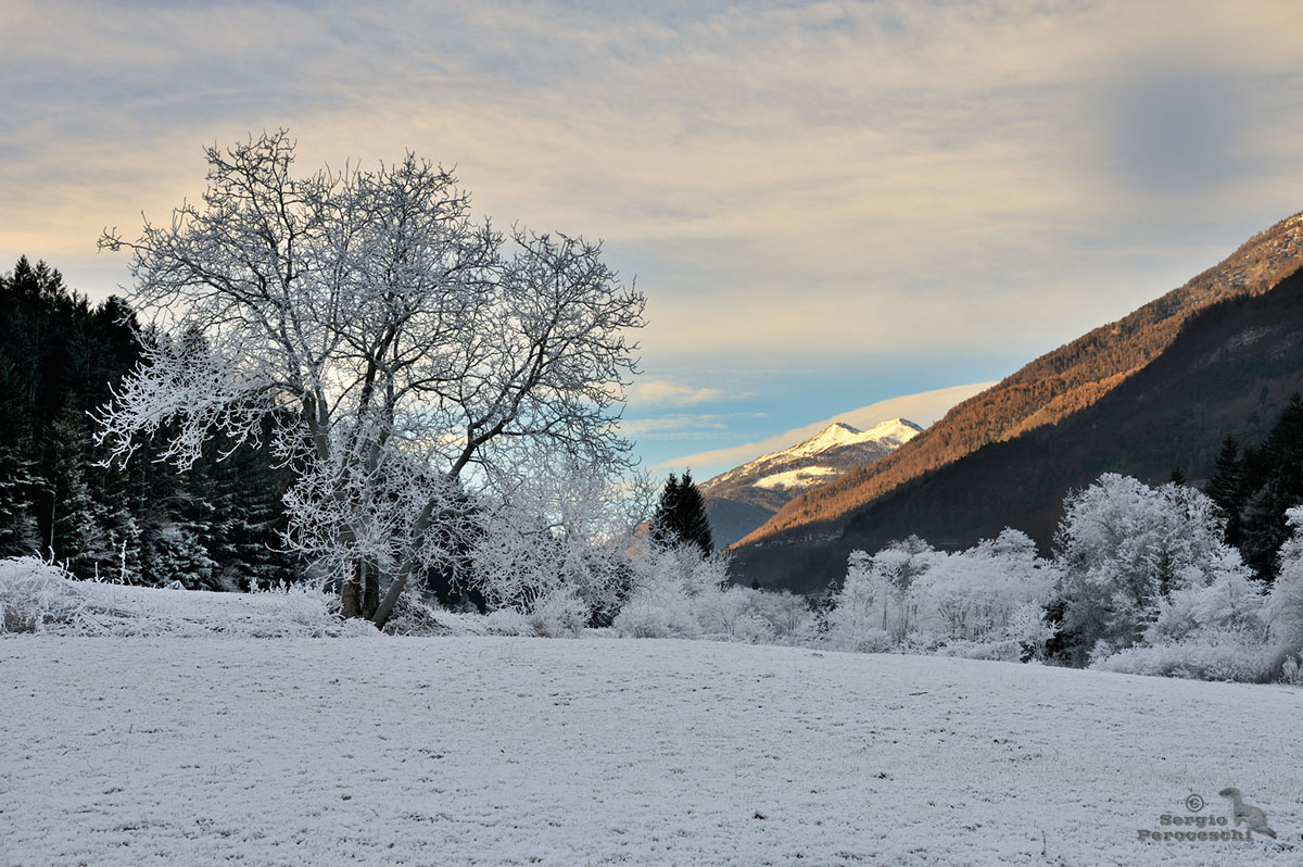 Il freddo che dipinge