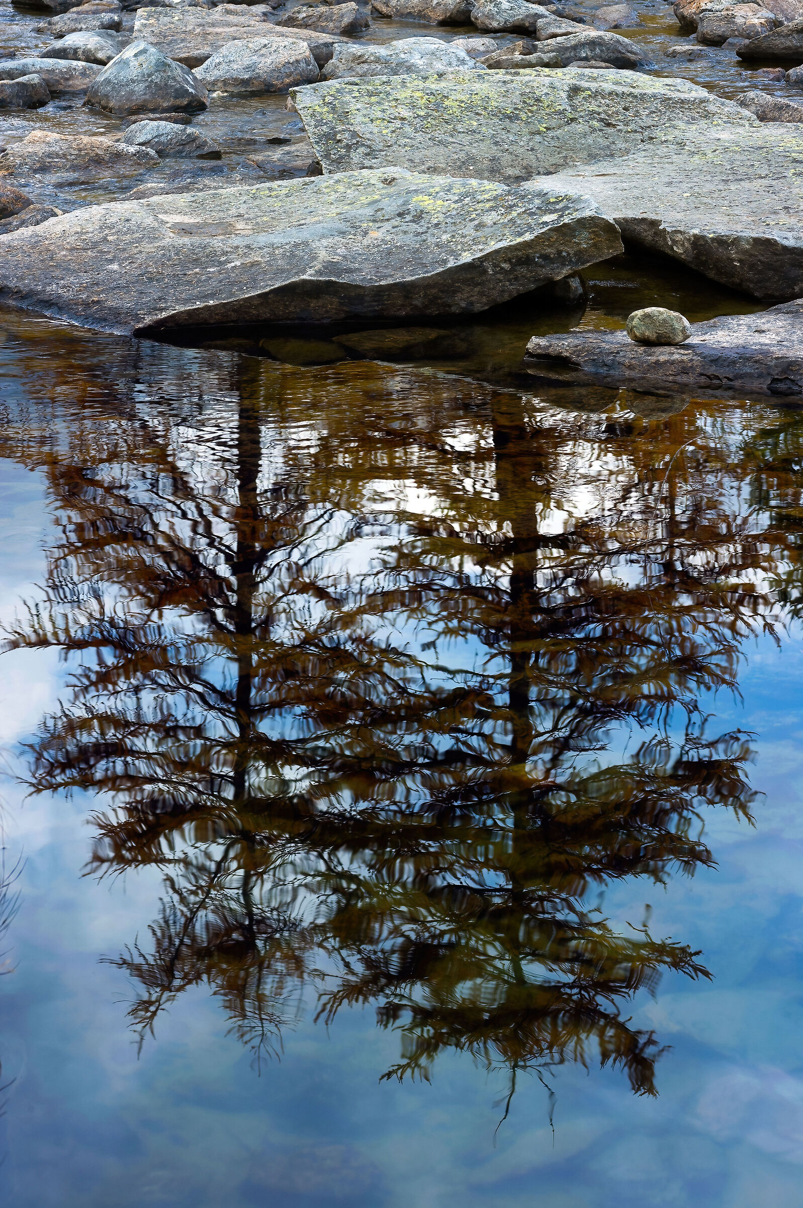 riflessi nel lago Dres