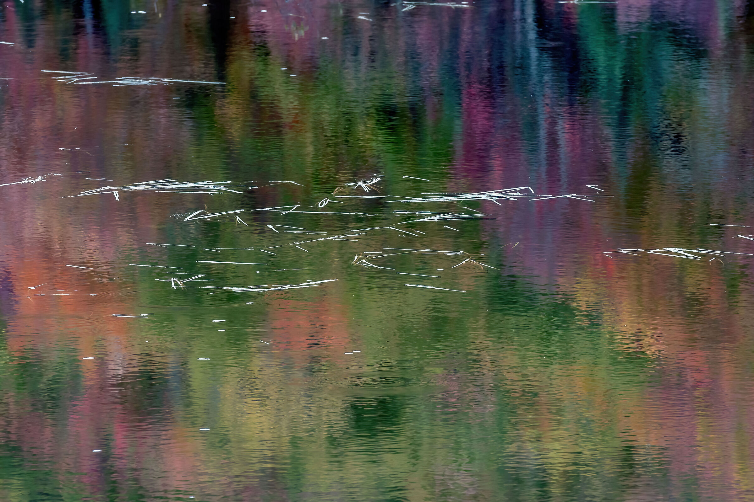 riflessi nel lac à sam