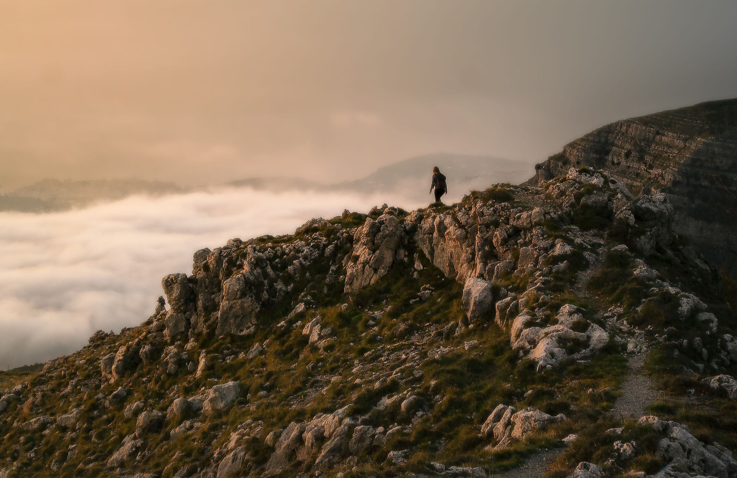 The world of fairy tales is here, with no restrictions