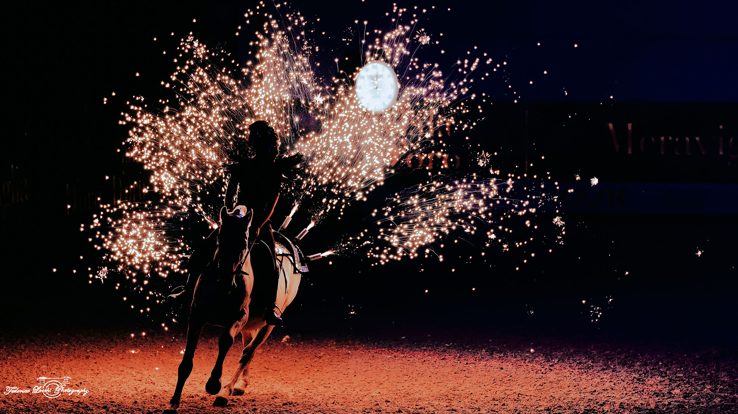 fiera dei cavalli Verona (gala d'oro)