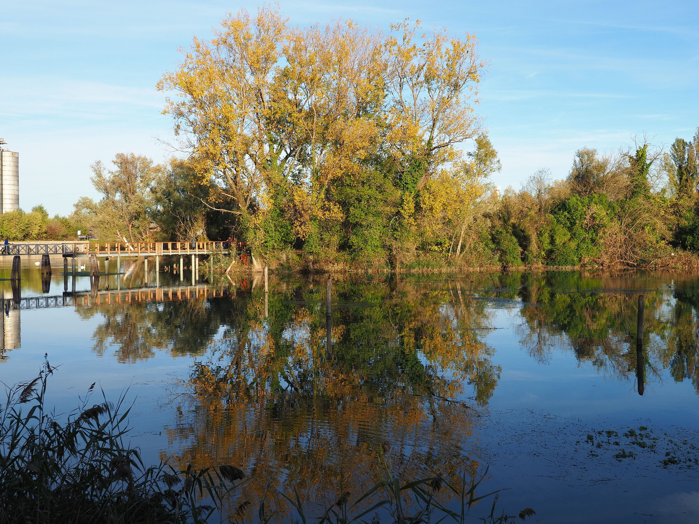 Bank of the Sile