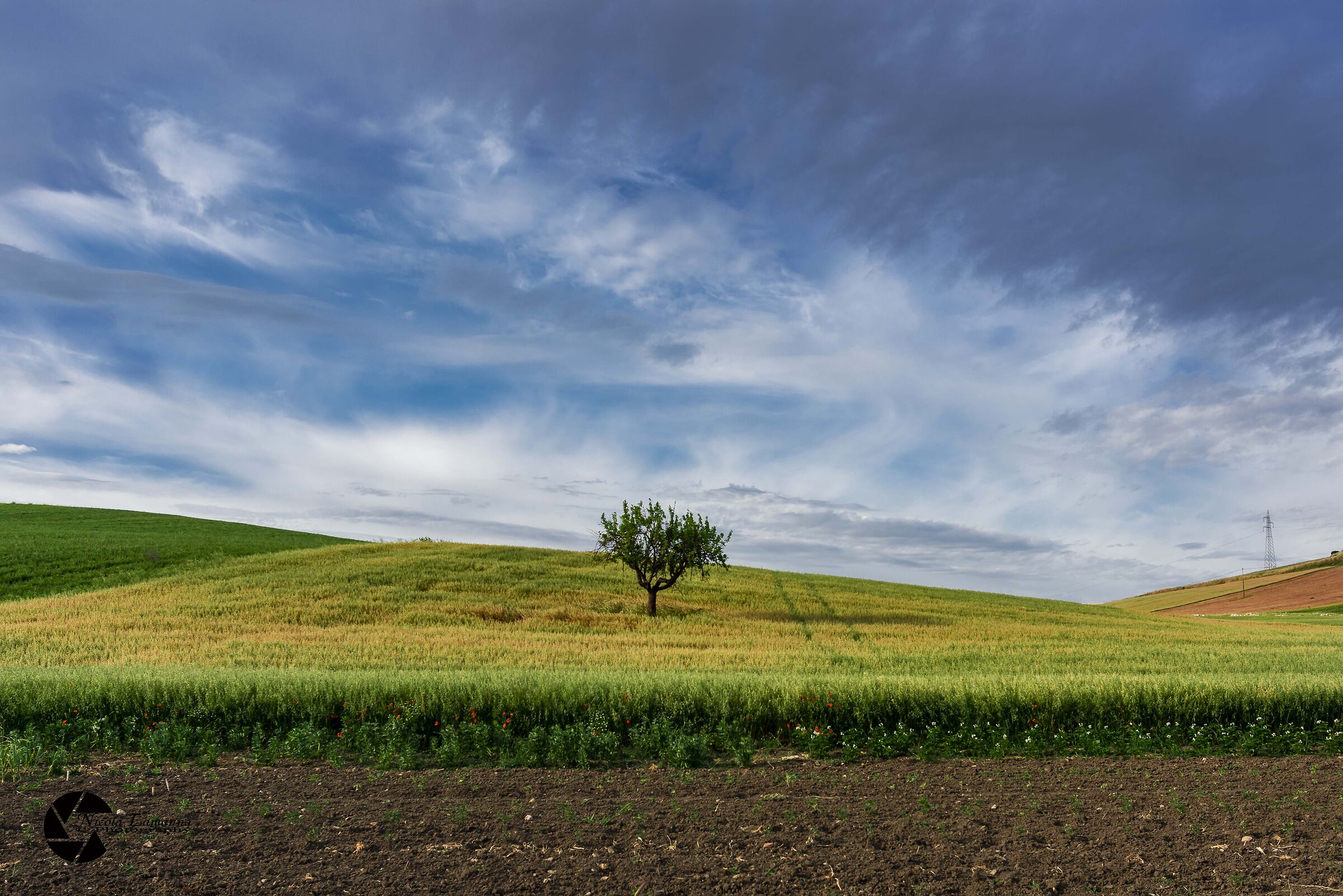 Untitled Photo