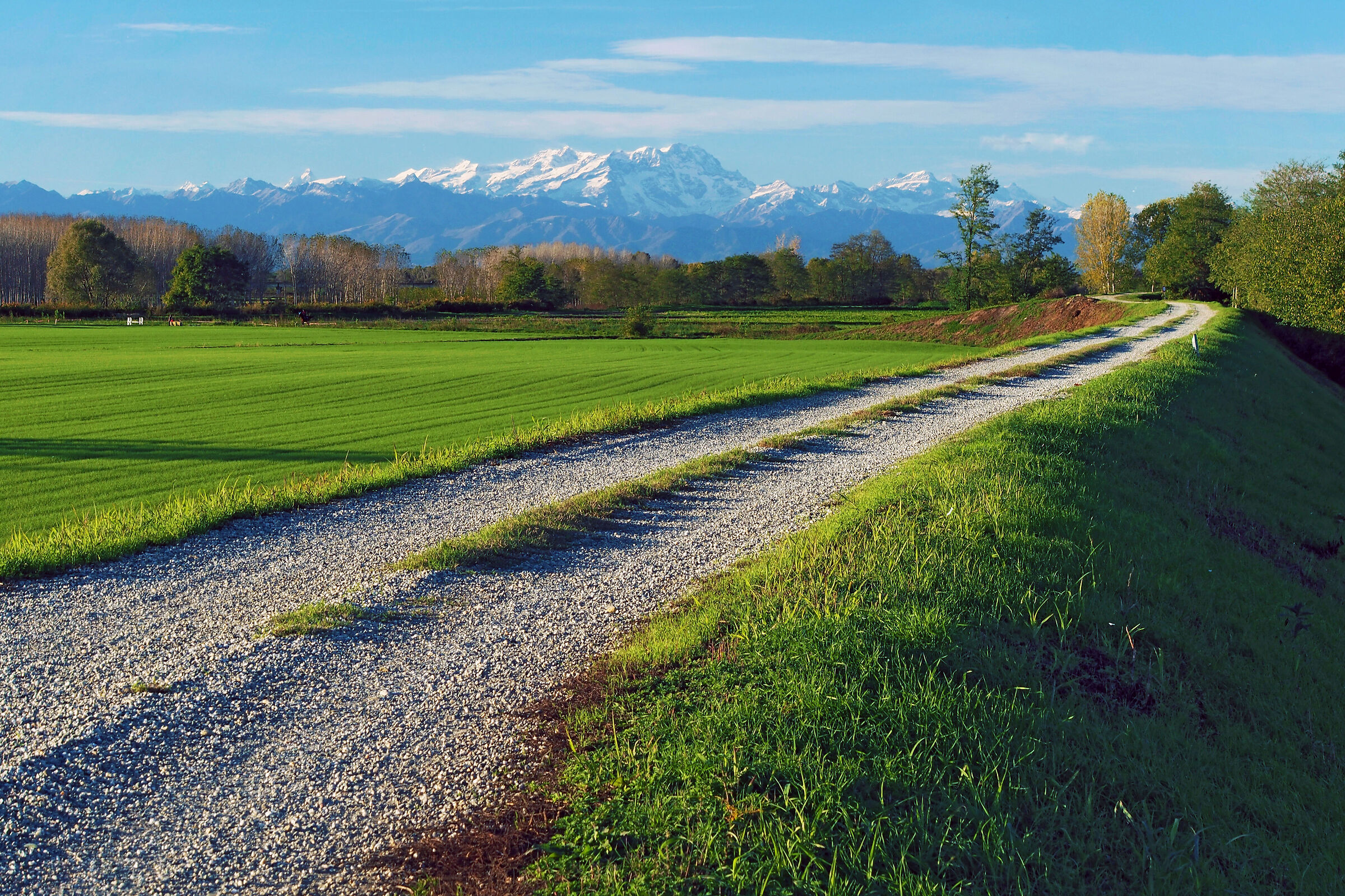 Un pomeriggio d'autunno