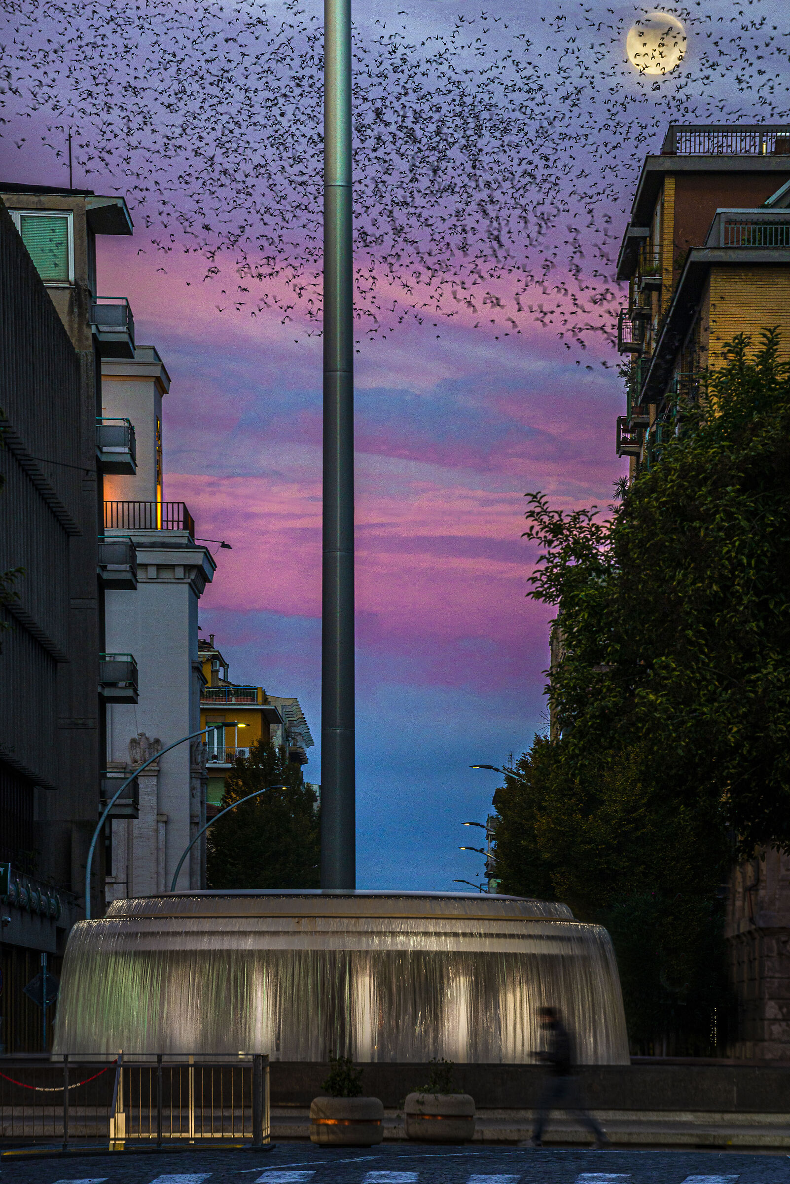 La Fontana di Piazza Tacito