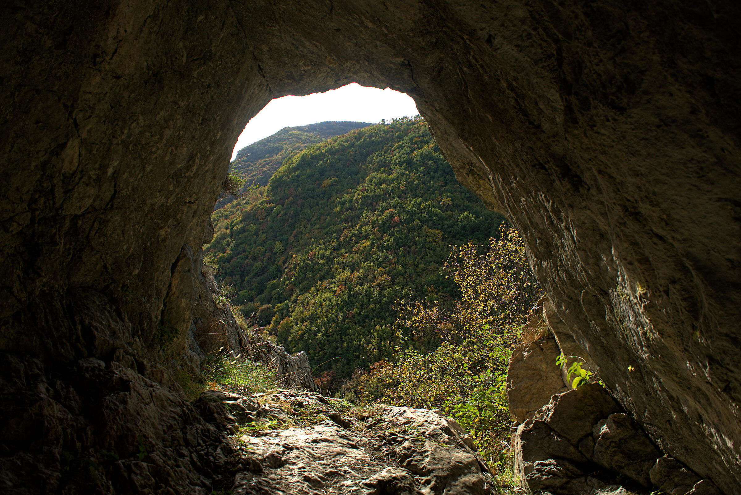 Monk's Lair