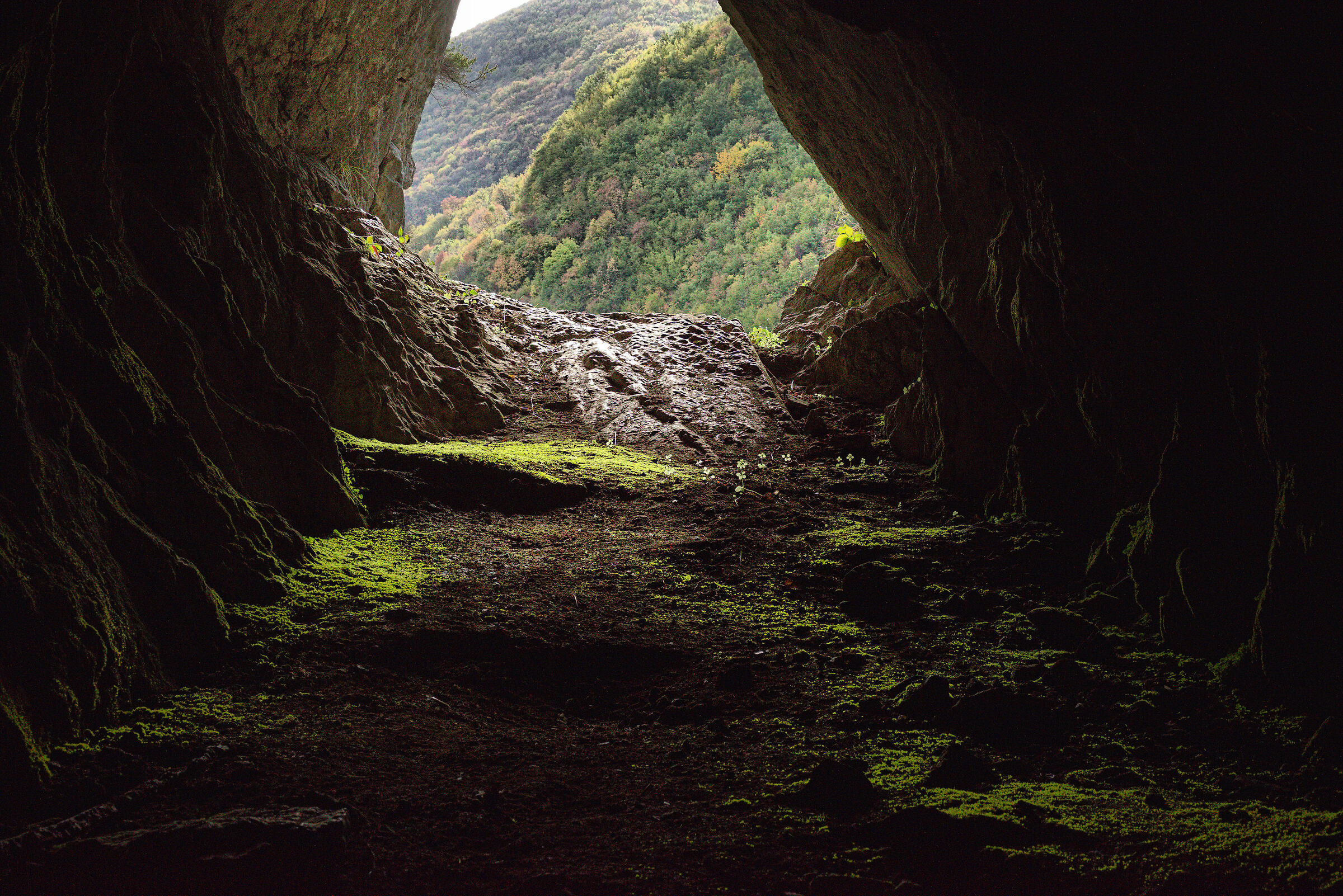 Monk's Lair