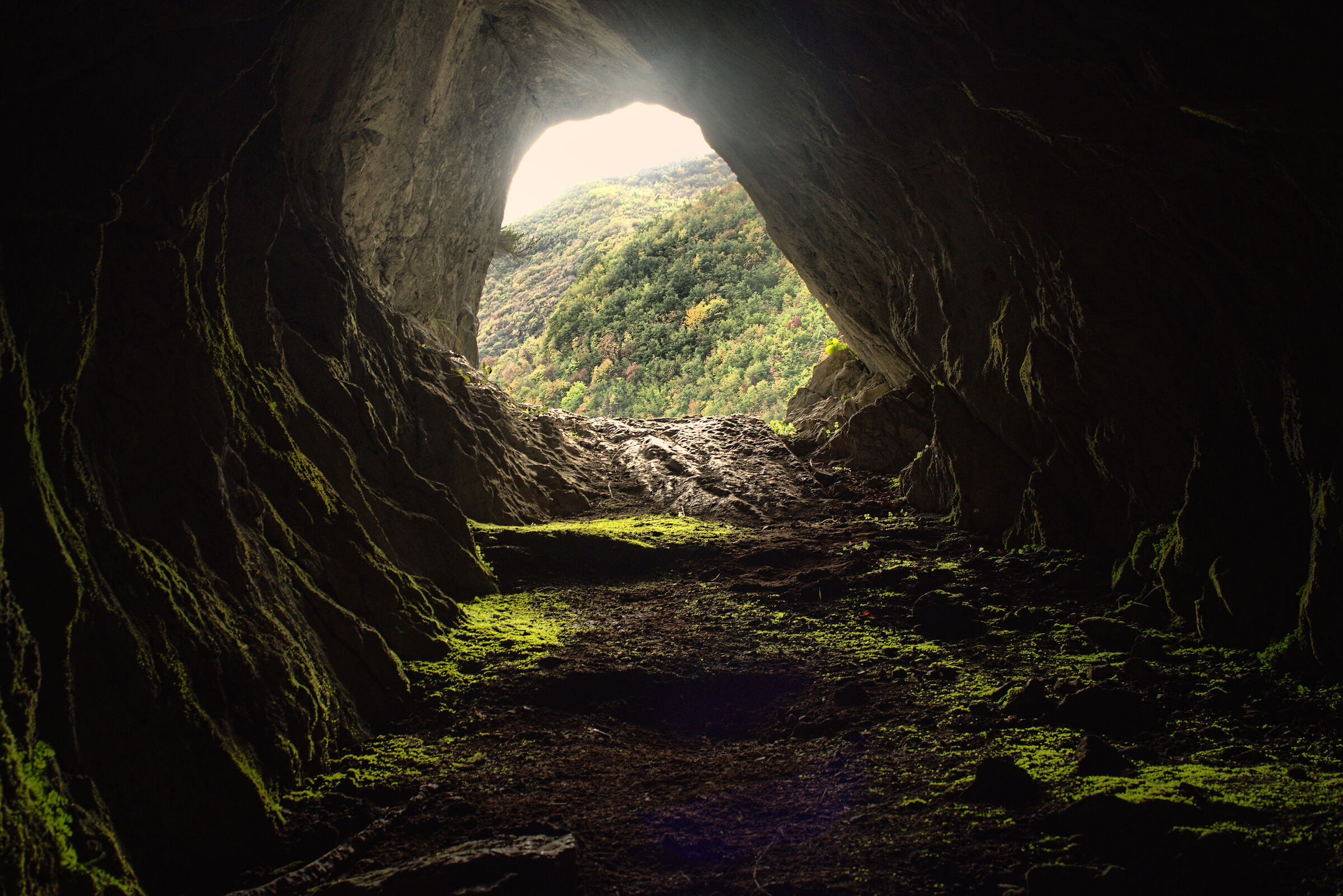 Monk's Lair