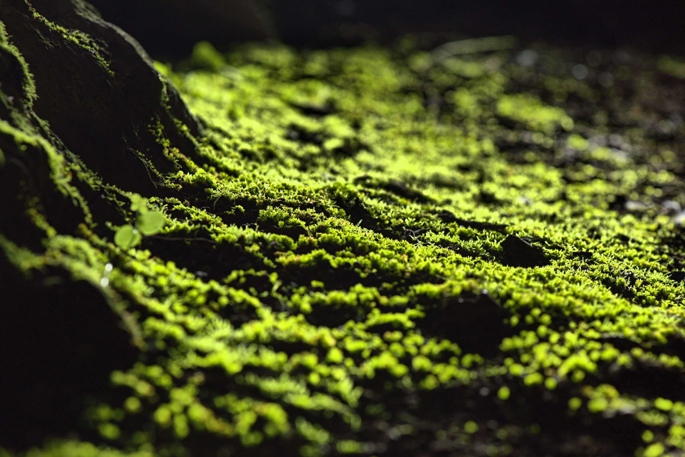 Cave floor
