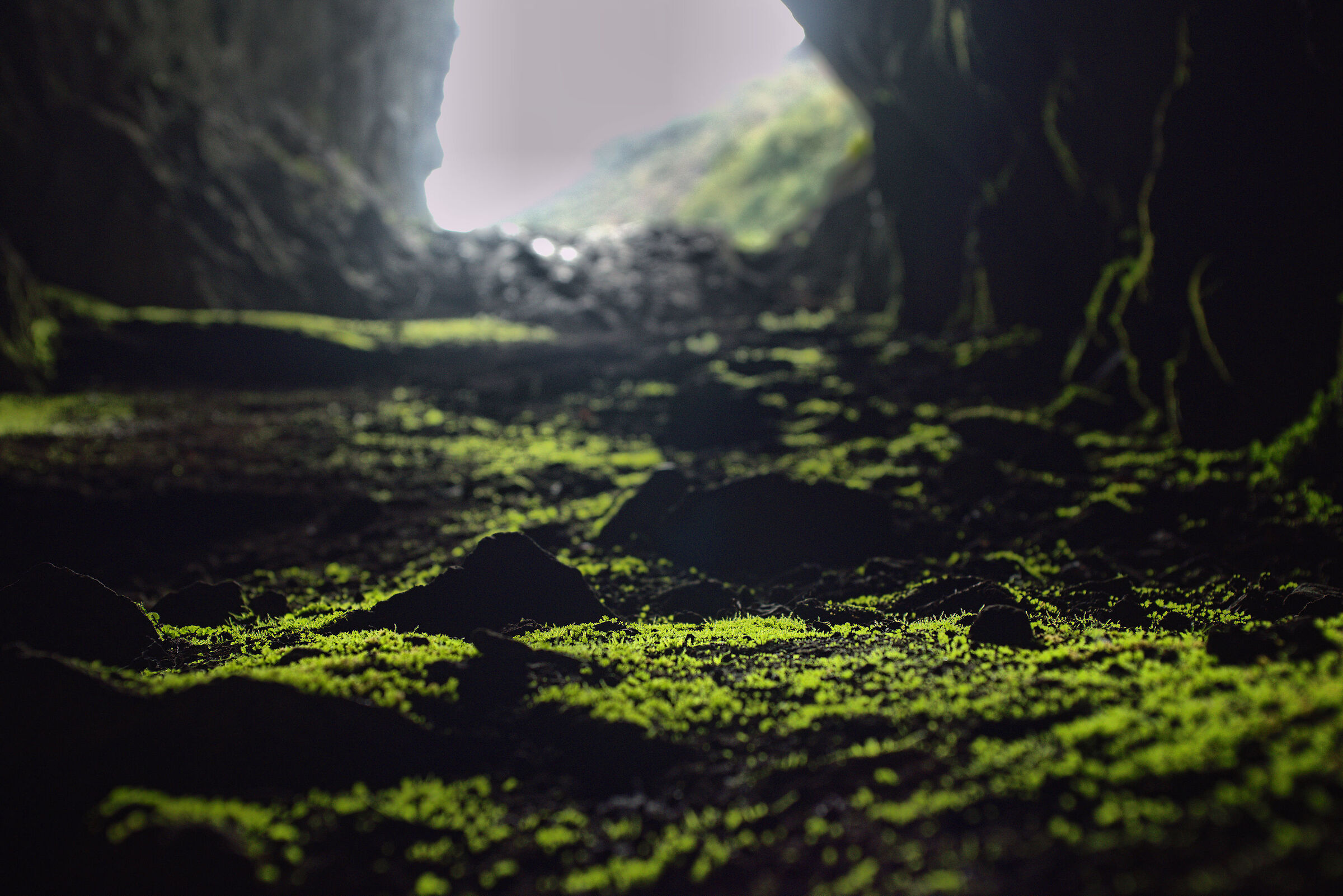 Monk's Lair