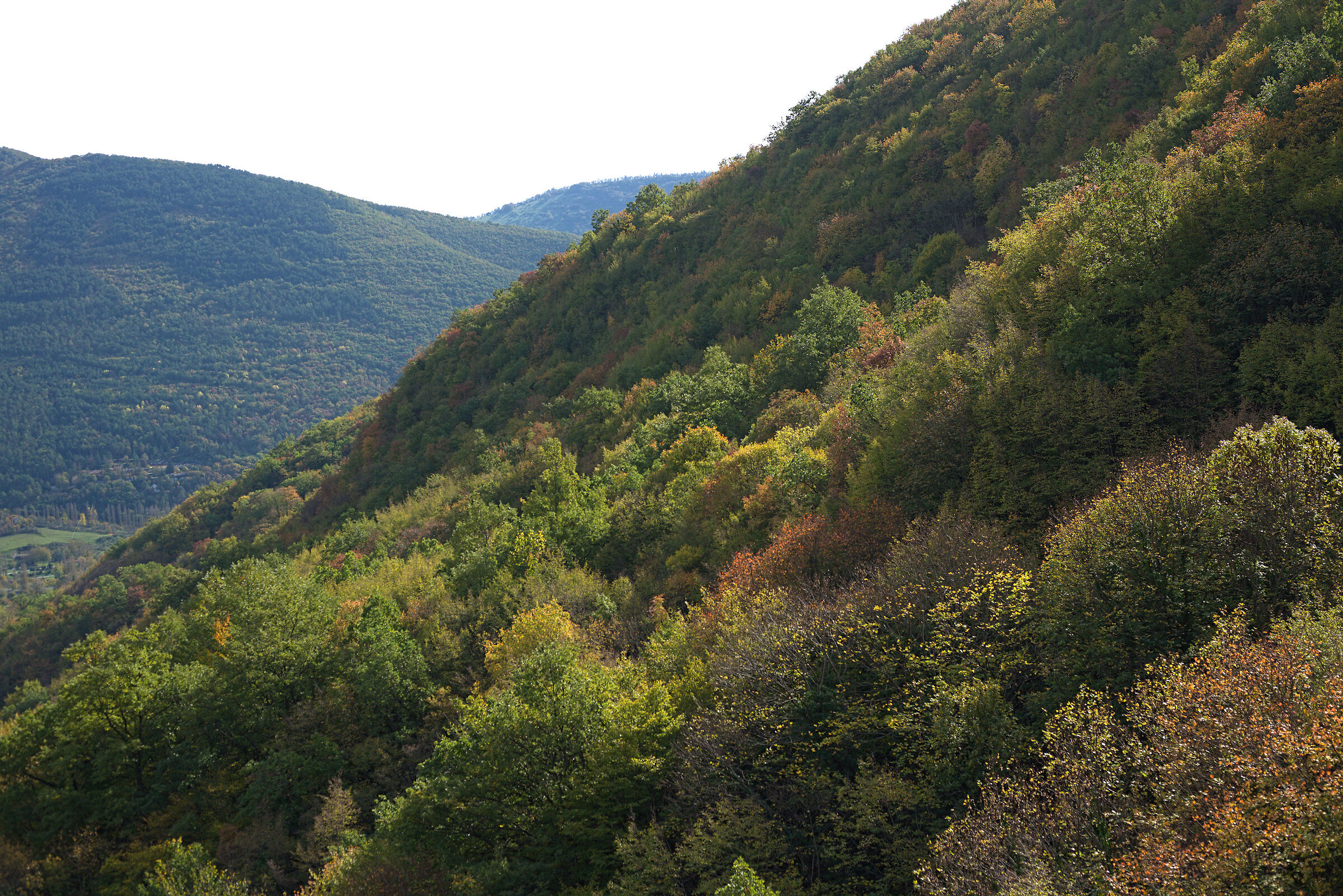 Boschi di Fabriano (AN)